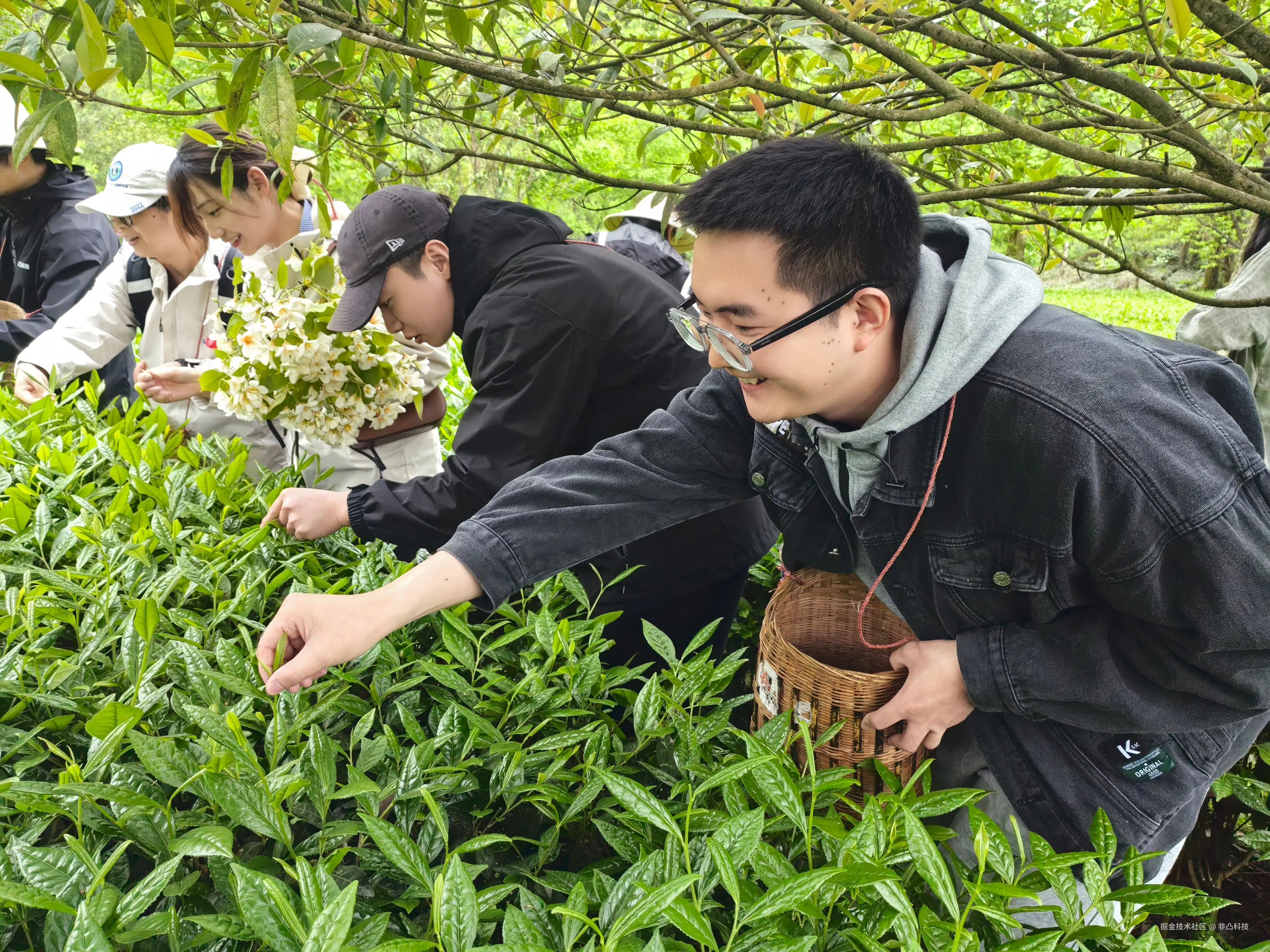 非凸科技于2025-04-30 13:08发布的图片