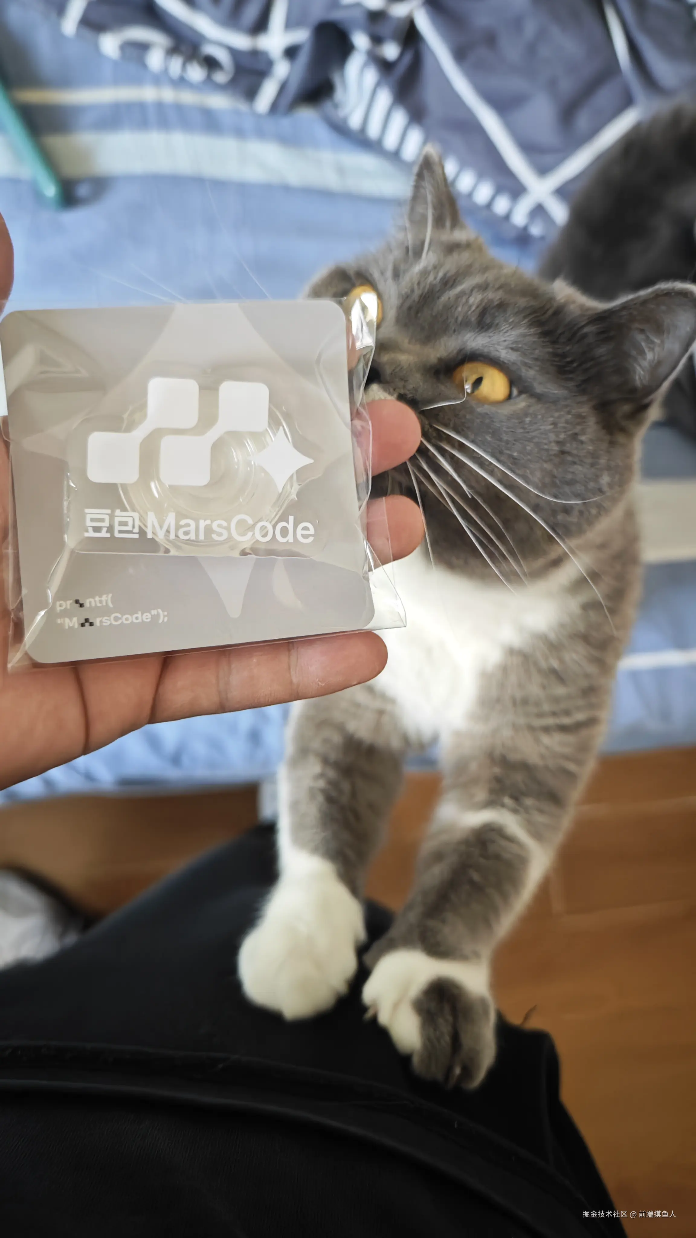 前端摸鱼人于2025-03-22 14:36发布的图片