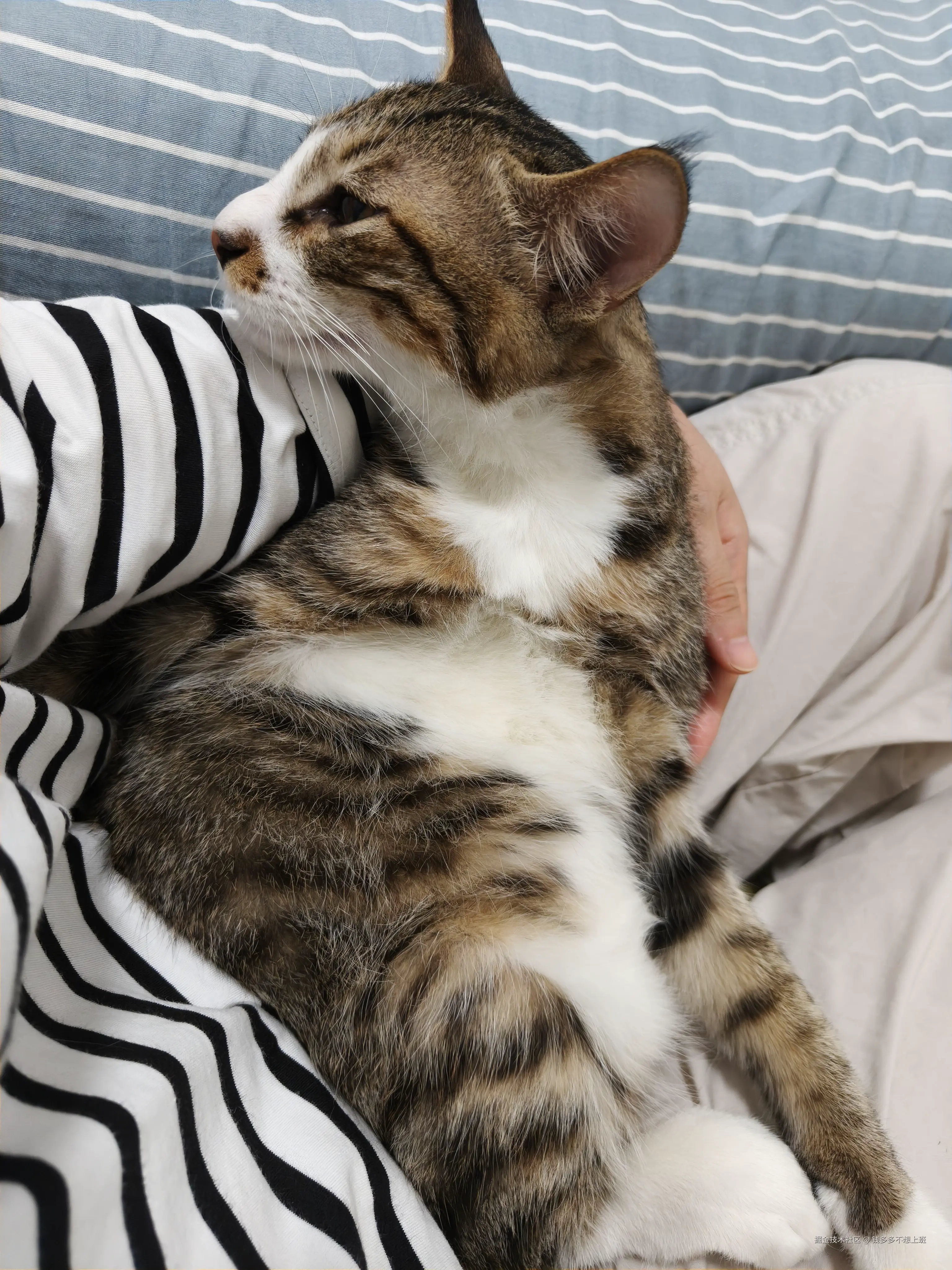 钱多多不想上班于2025-10-17 13:58发布的图片