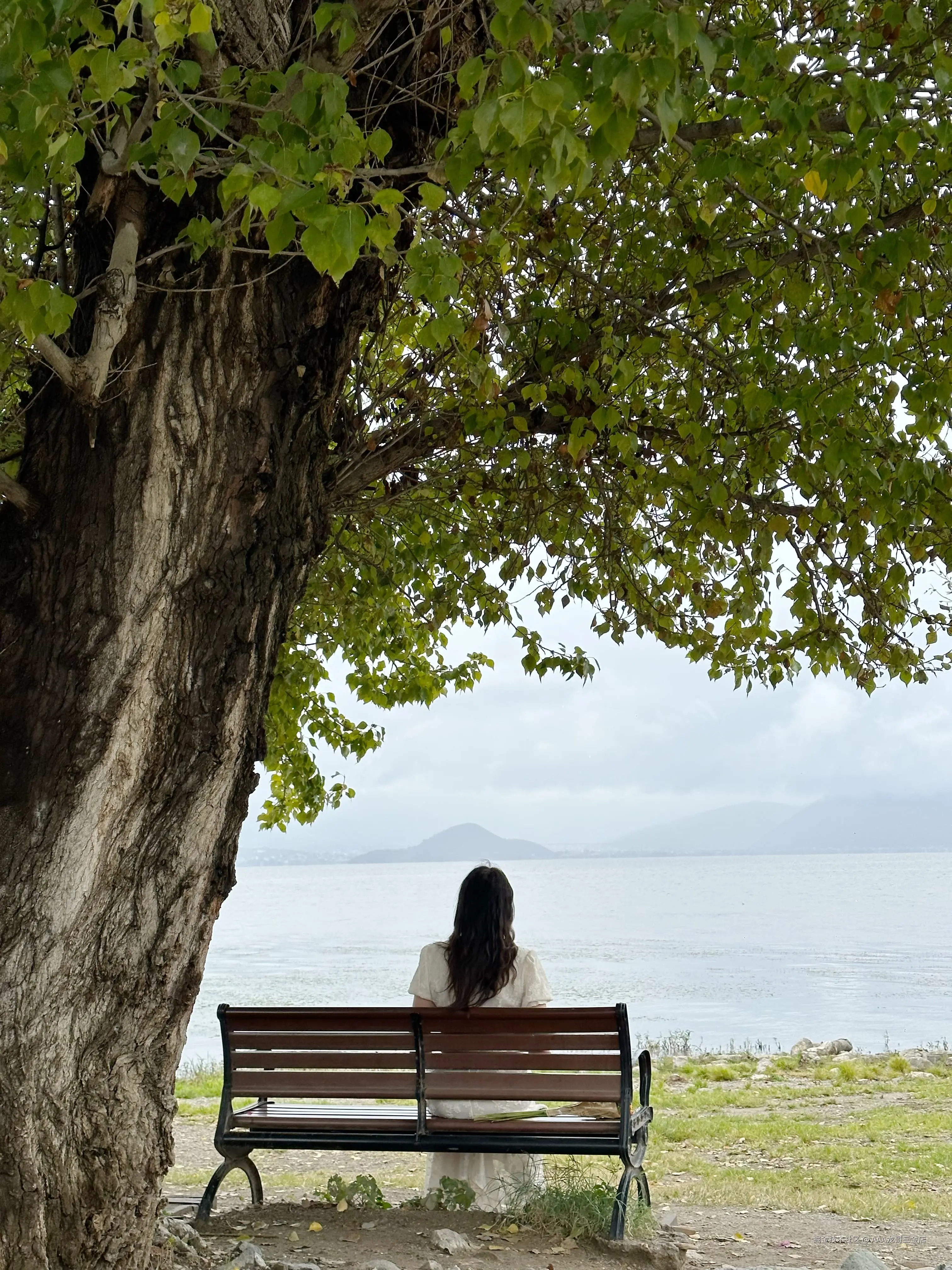 AAA龙哥三金店于2024-10-09 11:12发布的图片