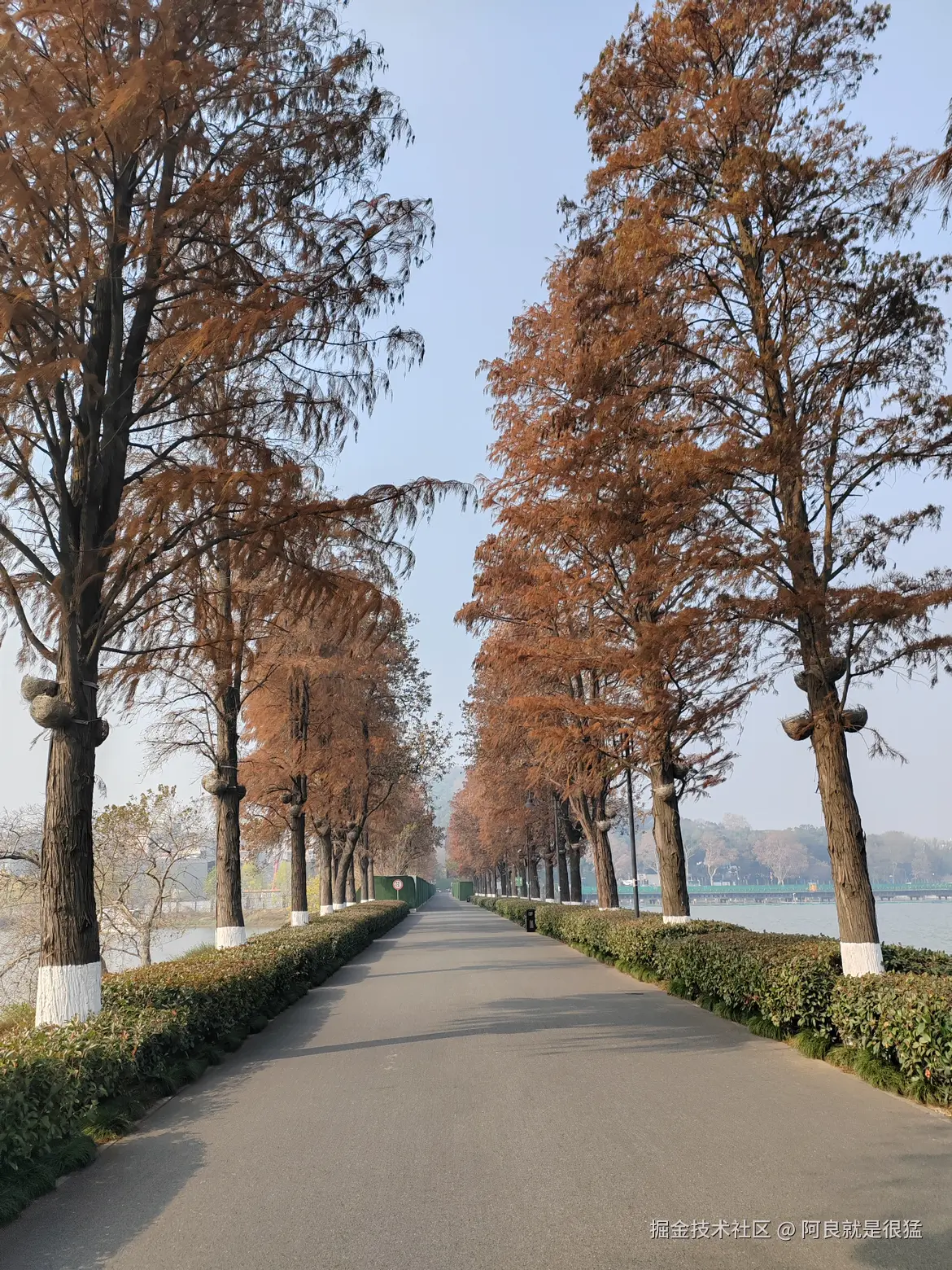 阿良就是很猛于2025-12-18 01:59发布的图片