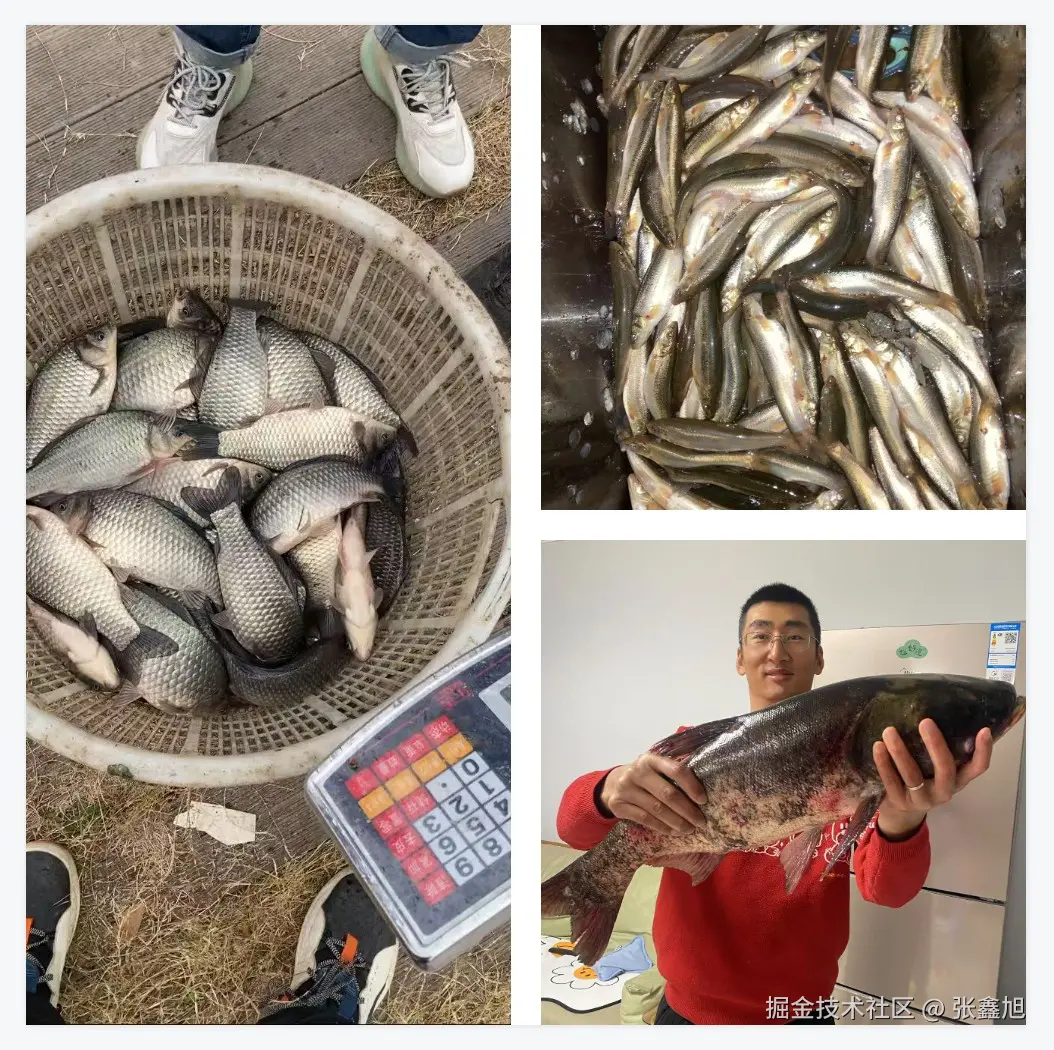 张鑫旭于2024-12-09 16:17发布的图片