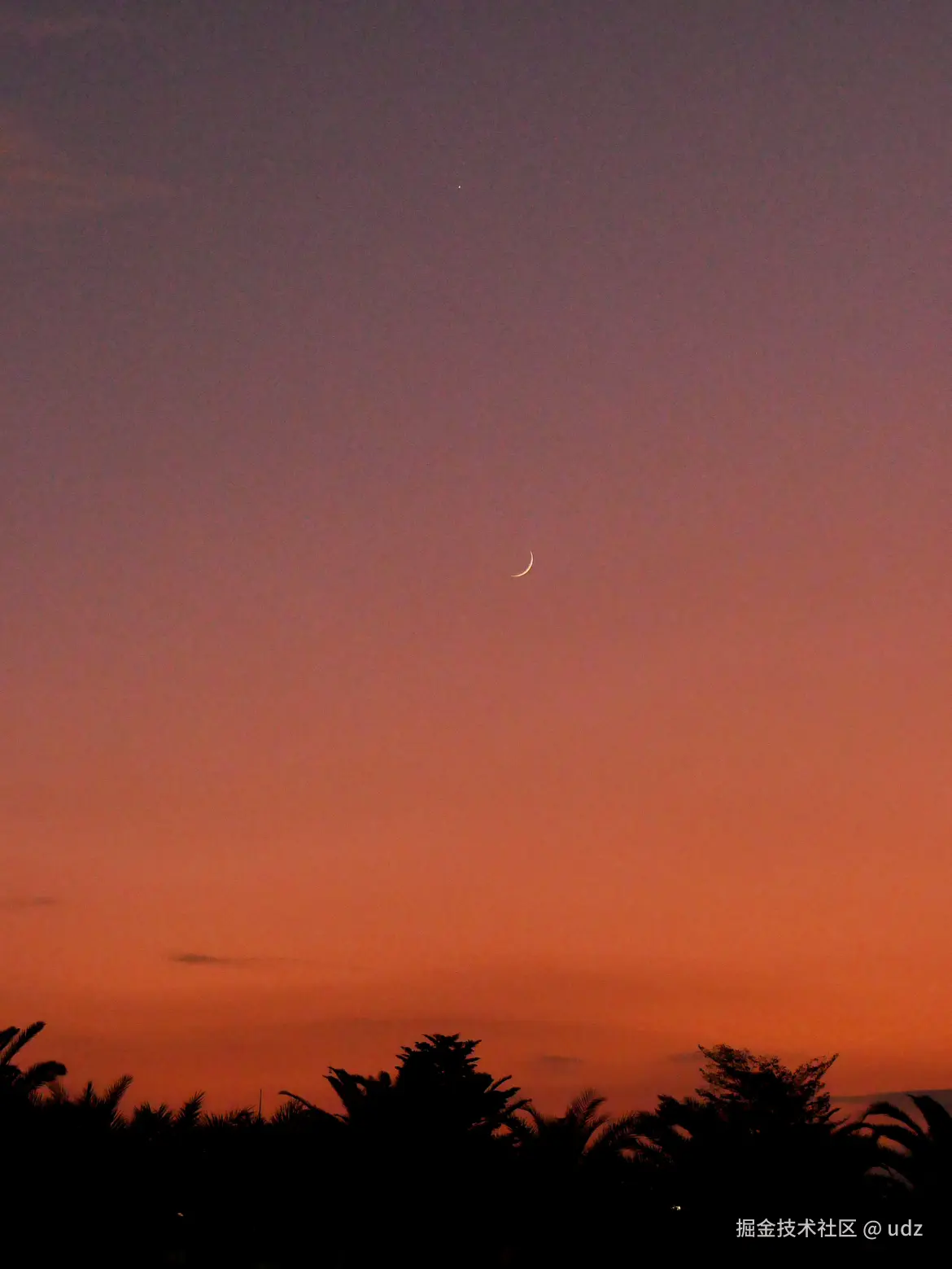 udz于2024-10-26 10:35发布的图片