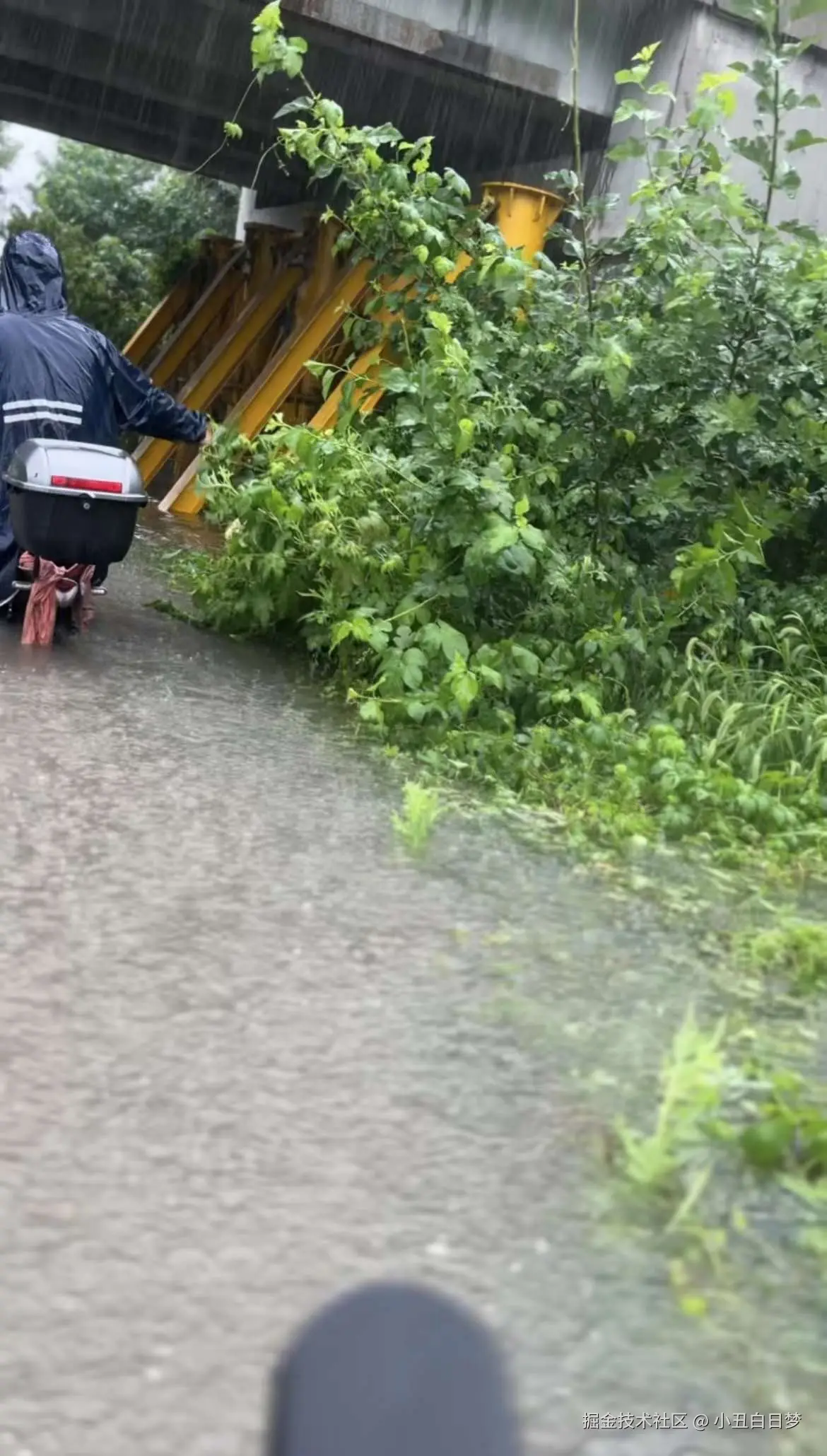 小丑白日梦于2024-07-30 10:02发布的图片