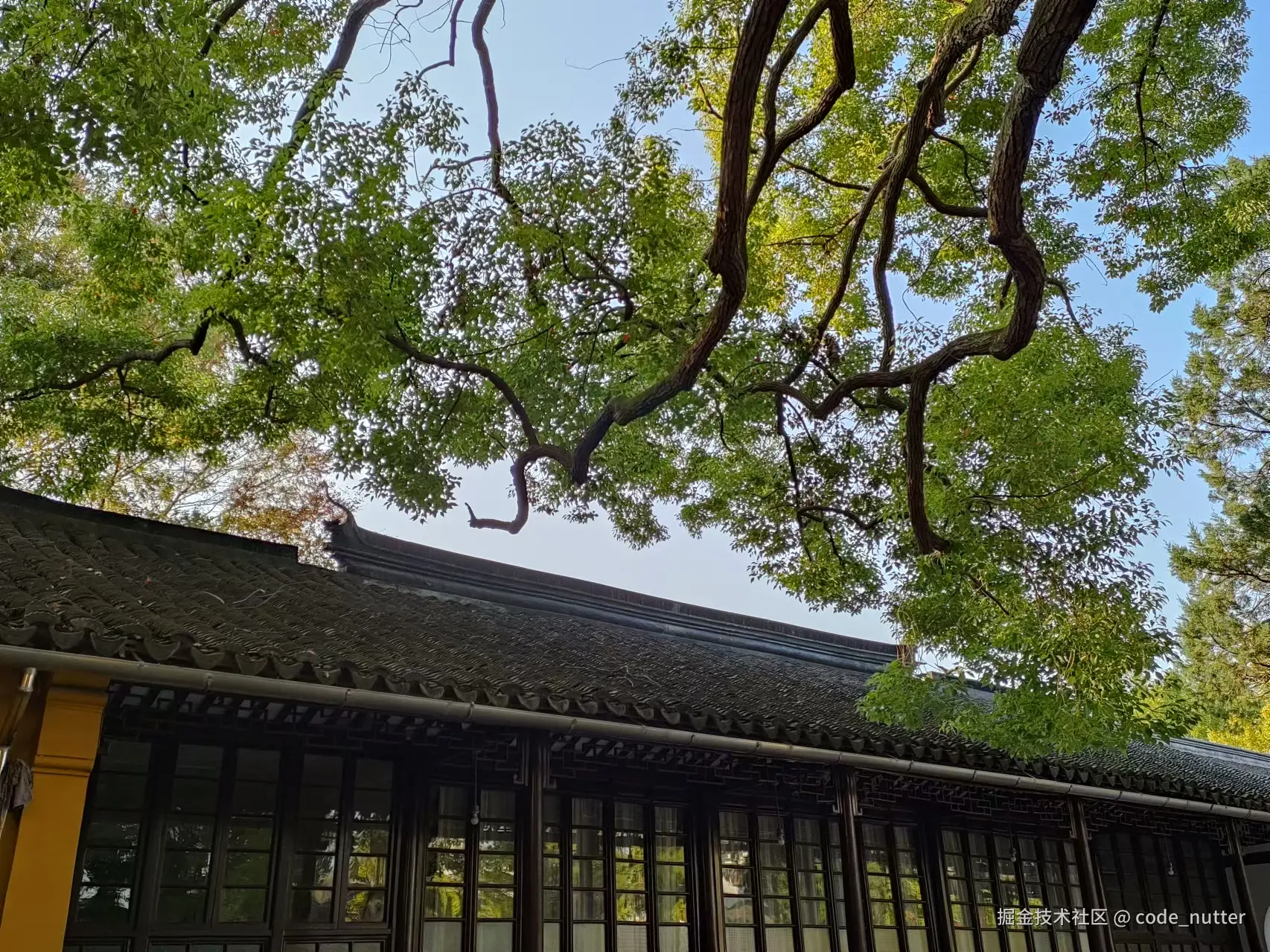 code_nutter于2025-08-12 09:05发布的图片