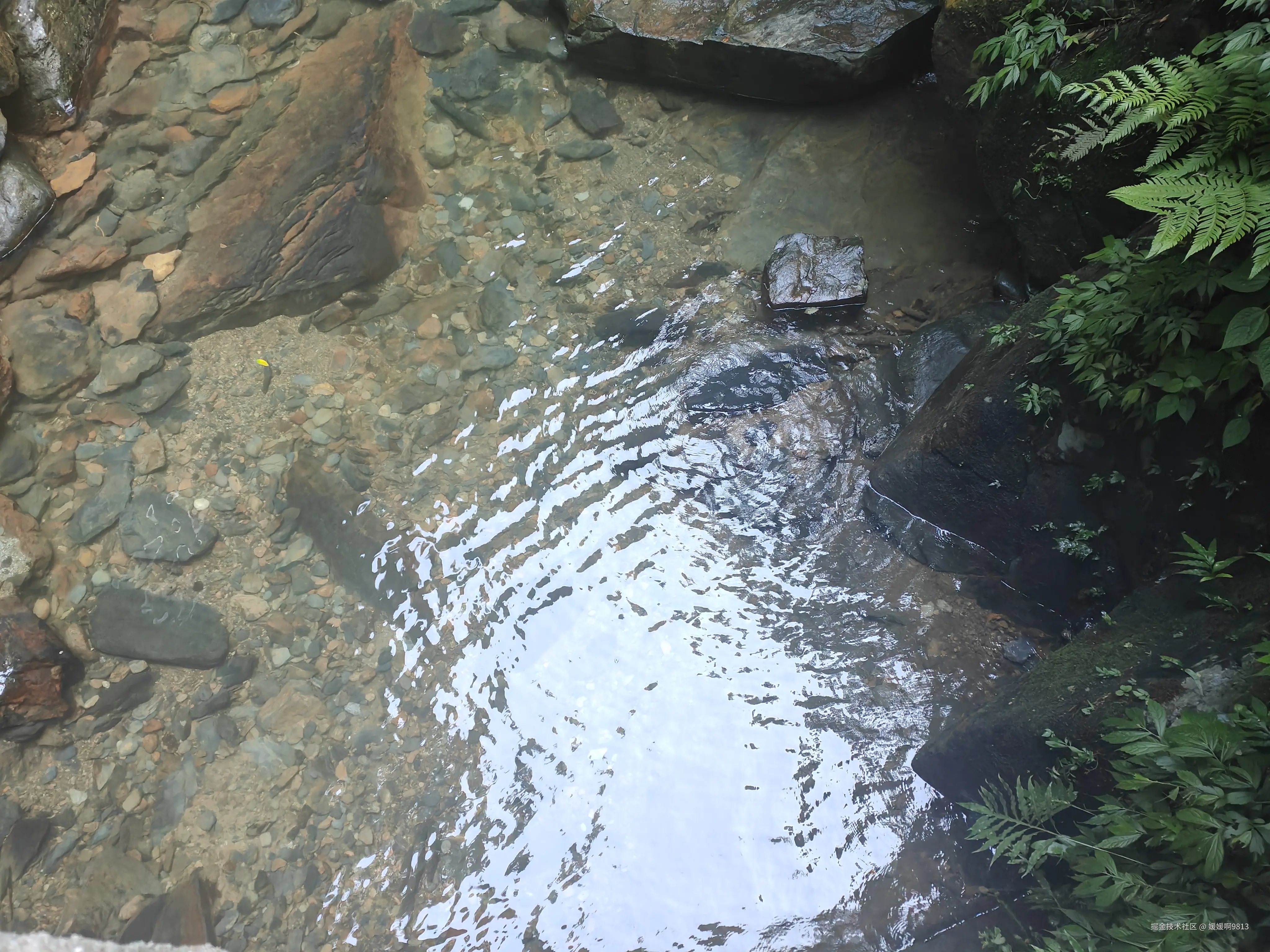 媛媛啊9813于2025-08-24 21:04发布的图片