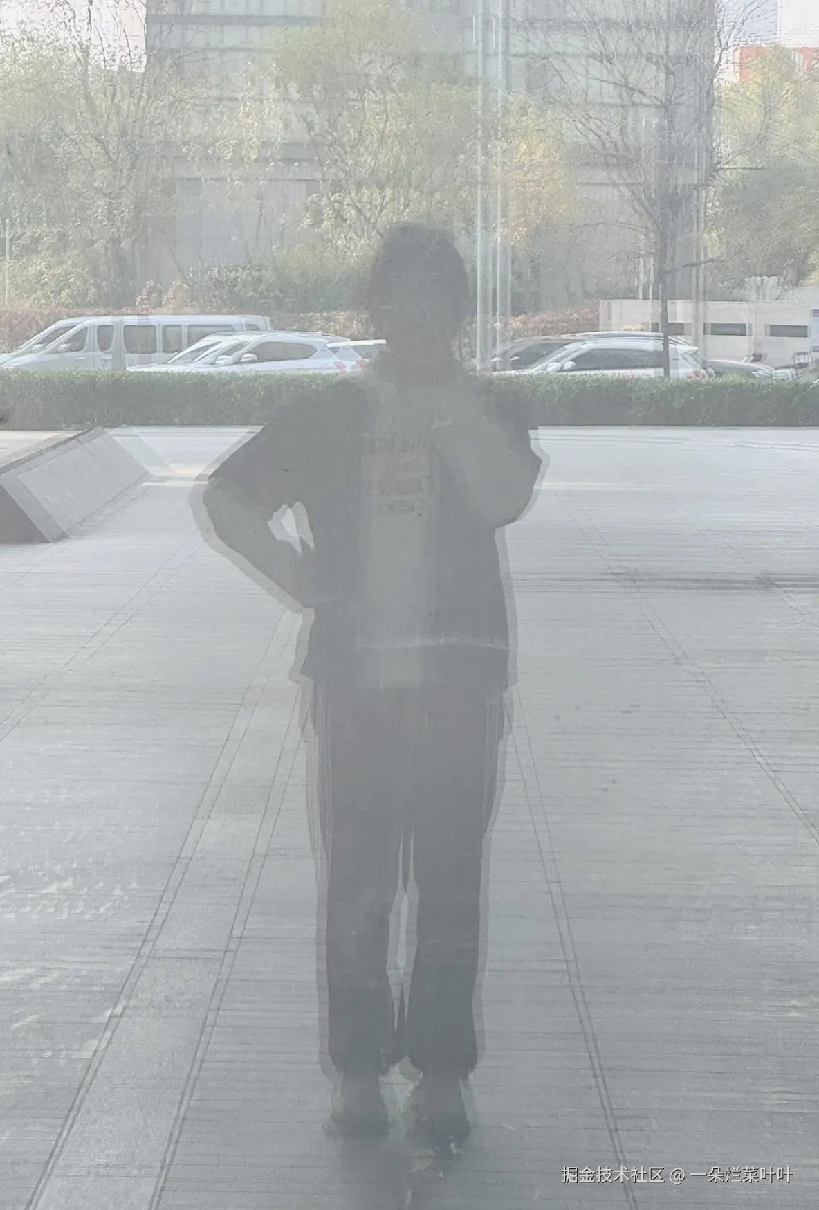 一朵烂菜叶叶于2024-11-15 13:27发布的图片