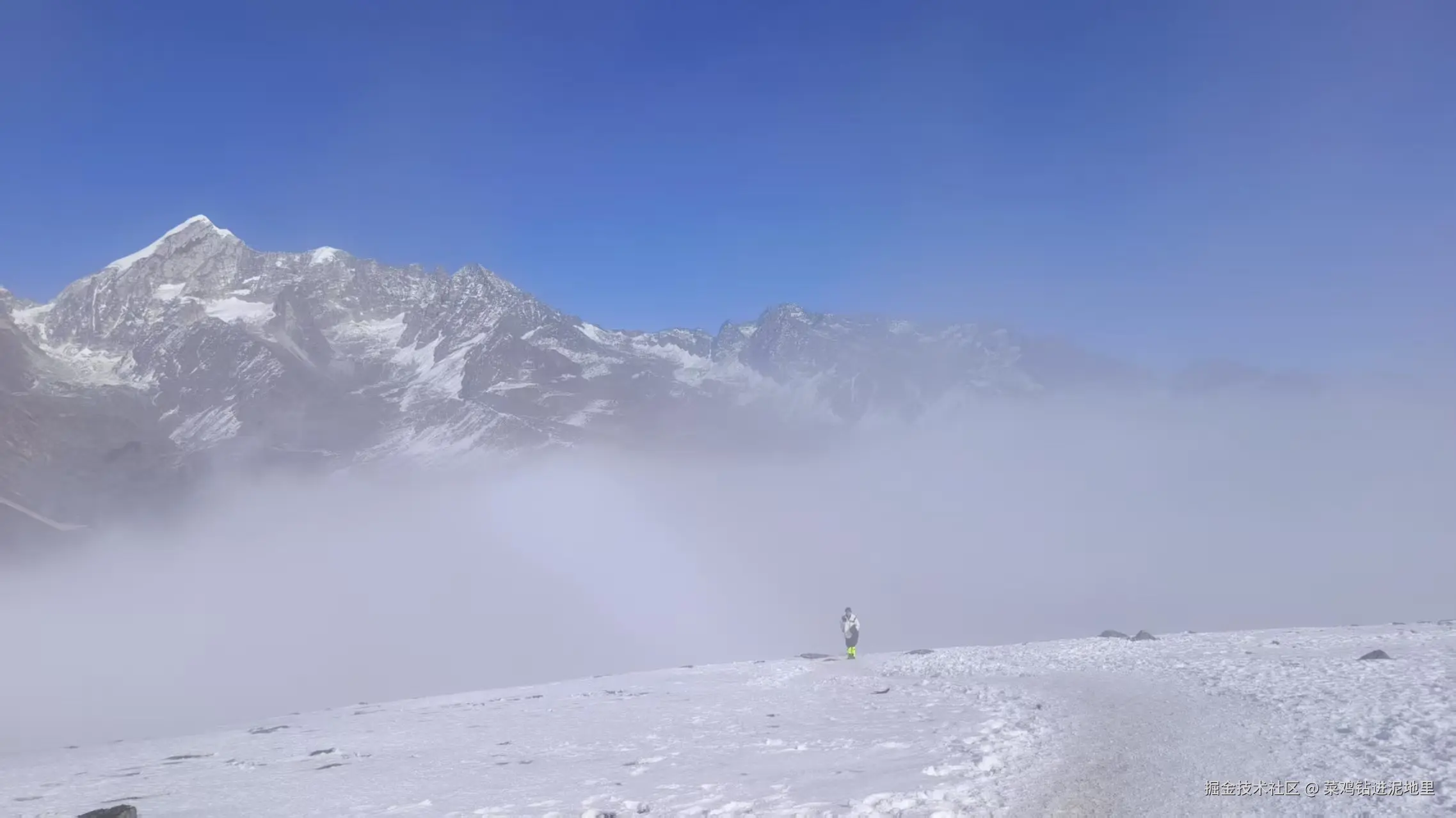 菜鸡钻进泥地里于2025-11-17 09:24发布的图片