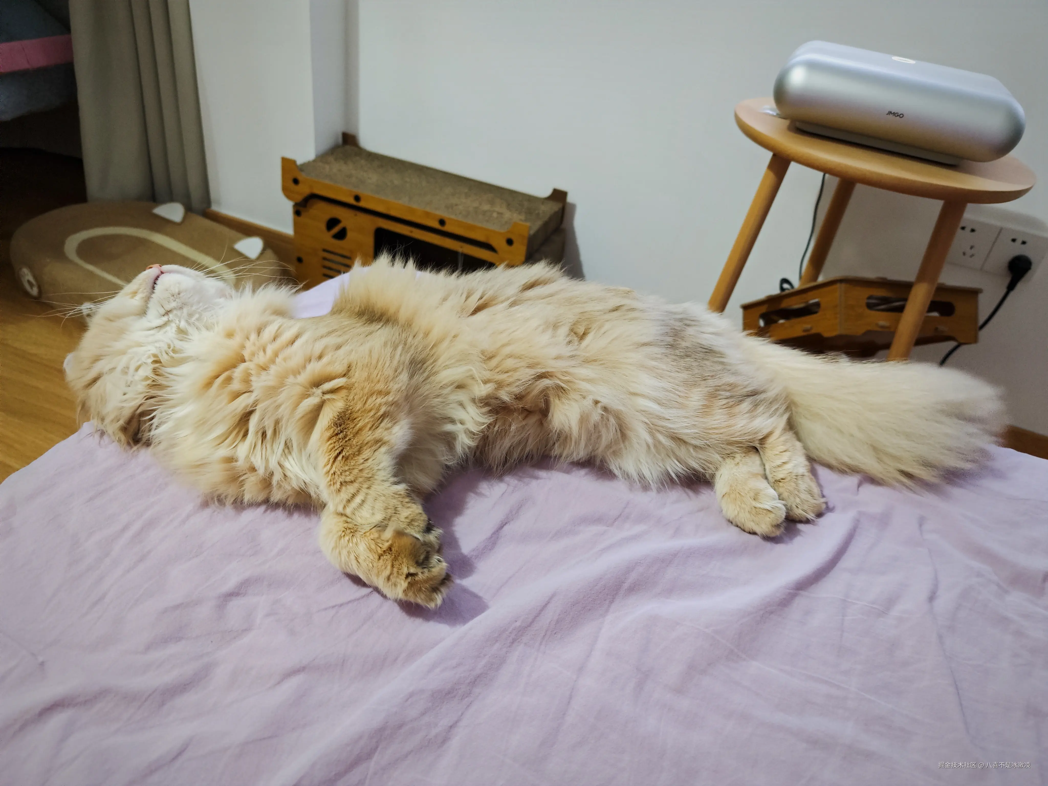 八喜不是冰激凌于2025-04-27 11:03发布的图片