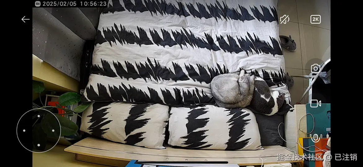 已注销于2025-02-05 10:56发布的图片