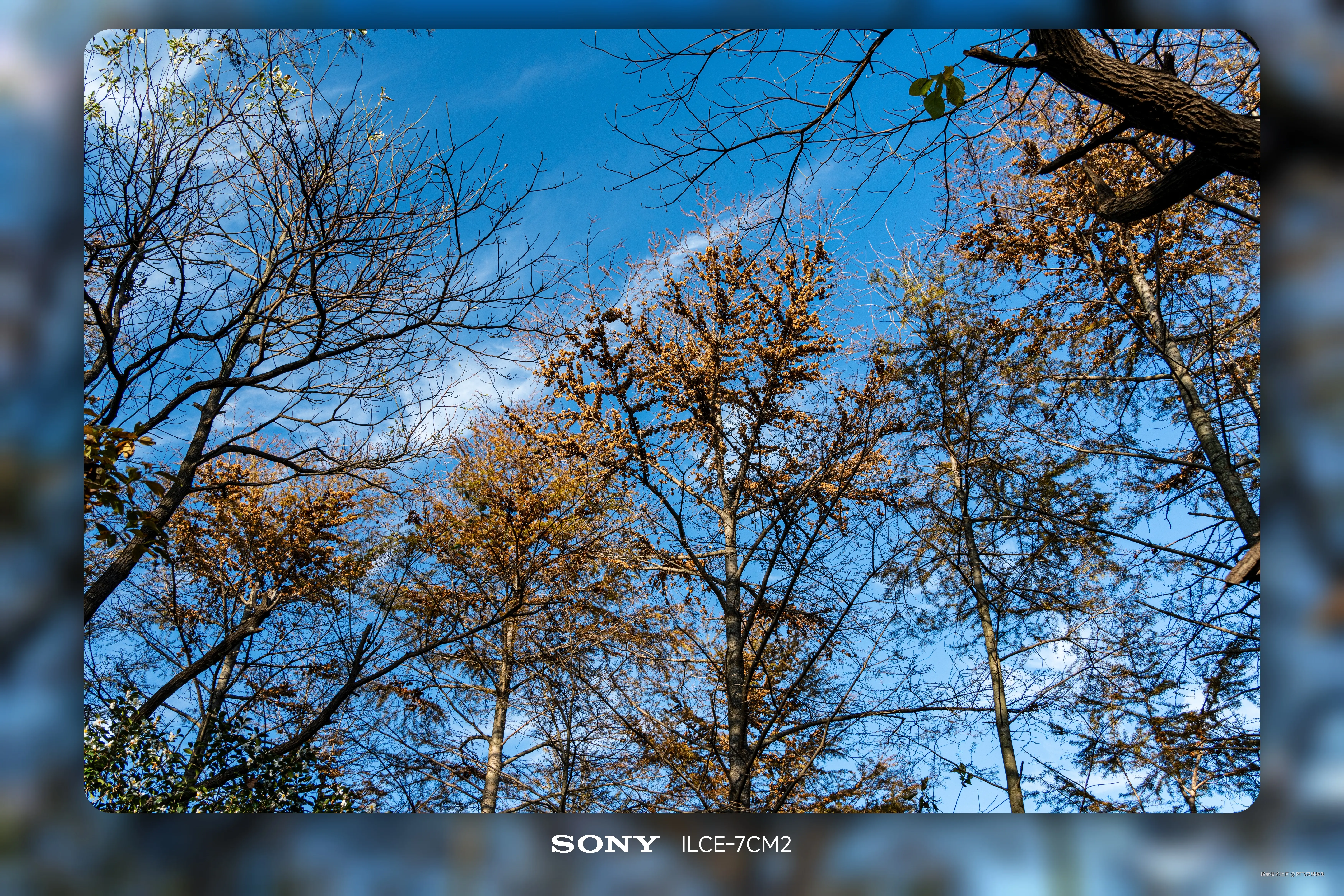 阿飞只想摸鱼于2025-11-18 14:20发布的图片