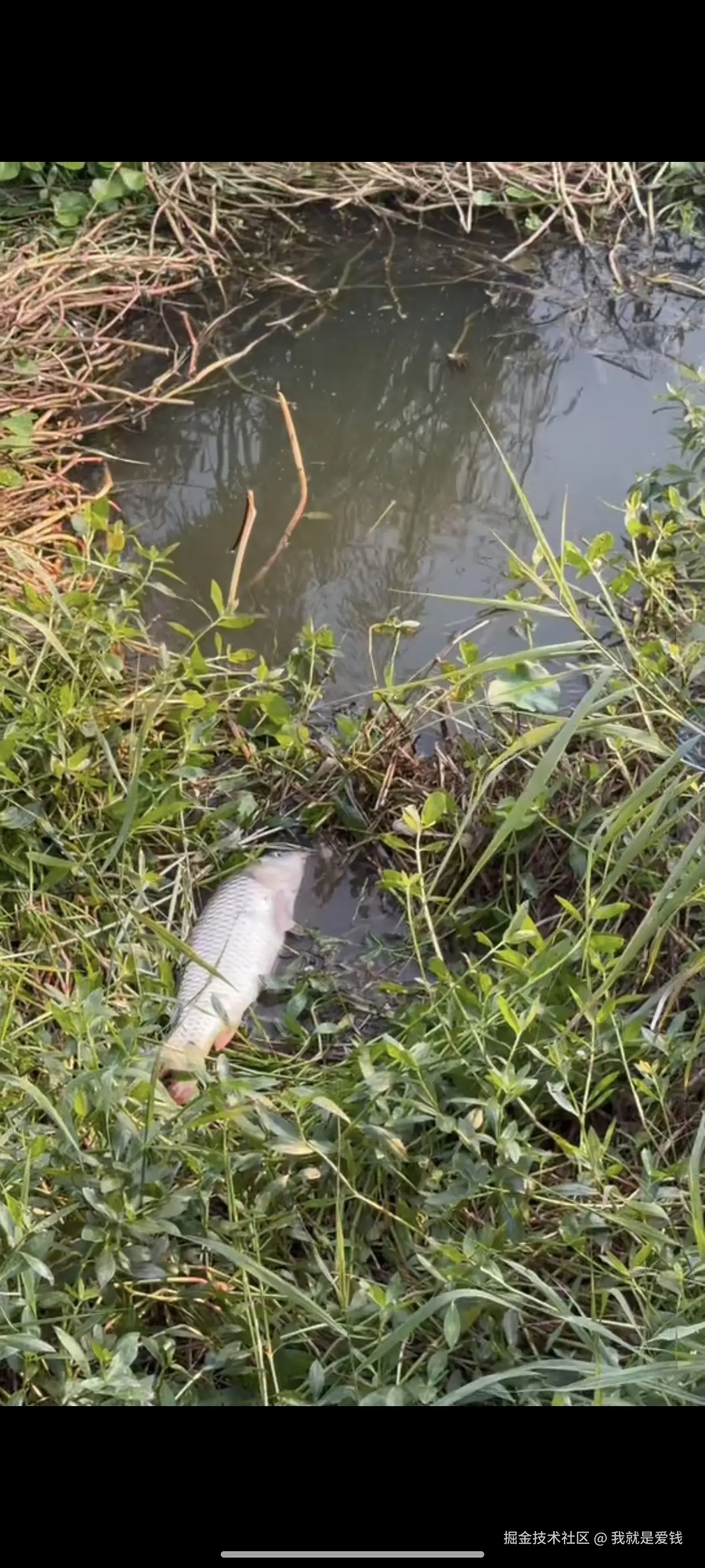 我就是爱钱于2025-11-01 06:14发布的图片