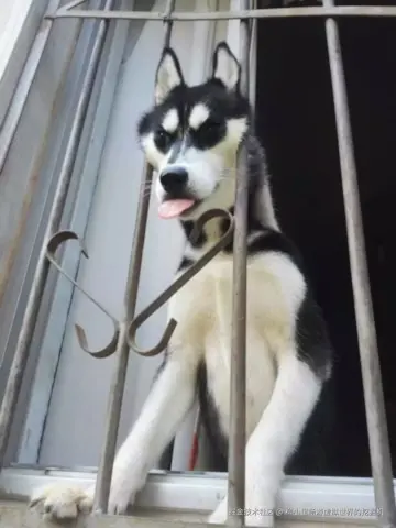 柳小里畅游虚拟世界的挖掘机于2025-11-27 10:58发布的图片