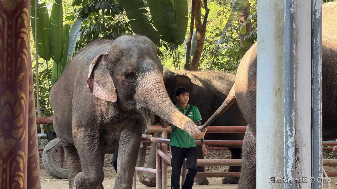 OMo于2026-01-22 11:03发布的图片