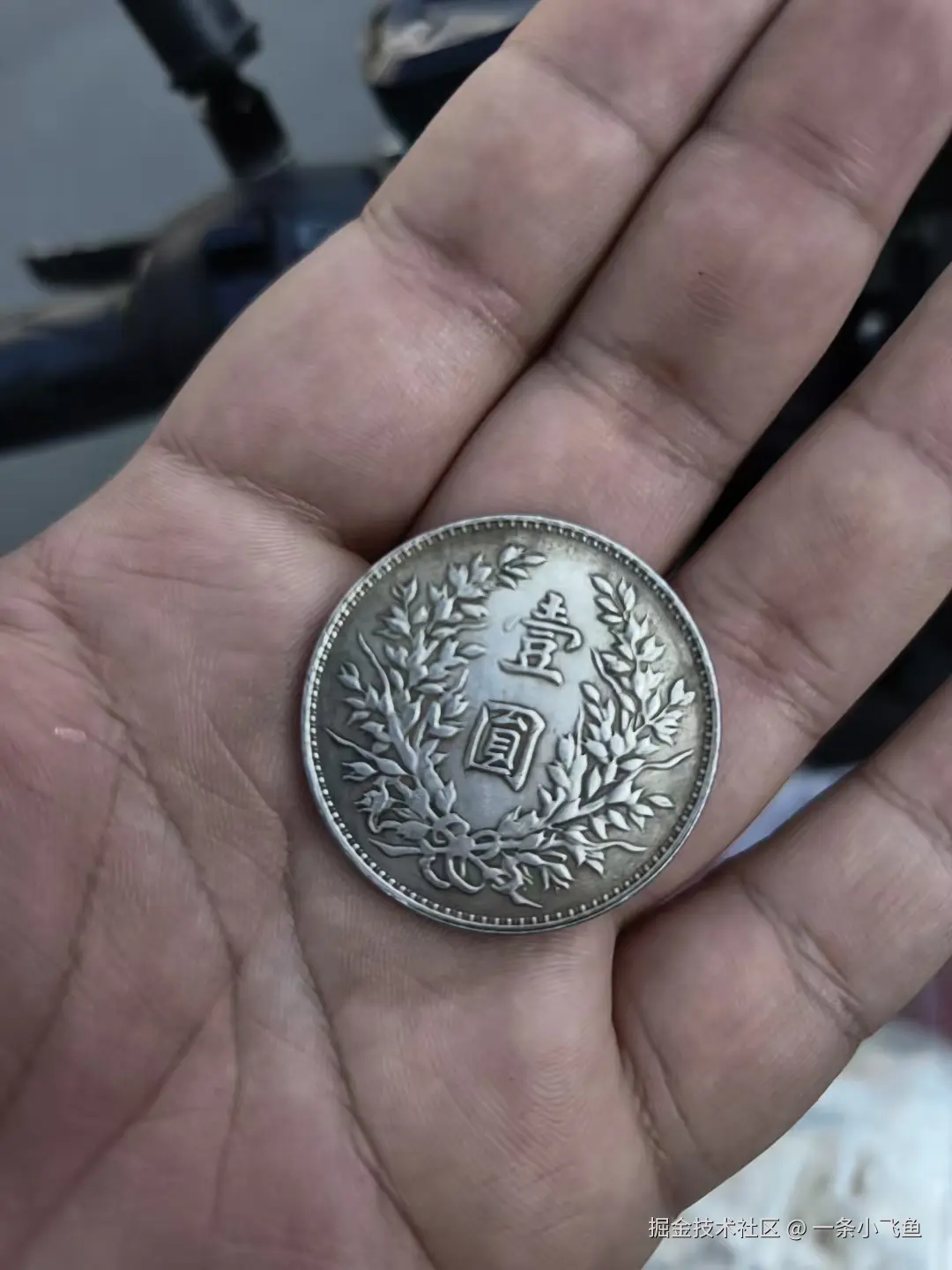 一条小飞鱼于2025-11-21 14:49发布的图片