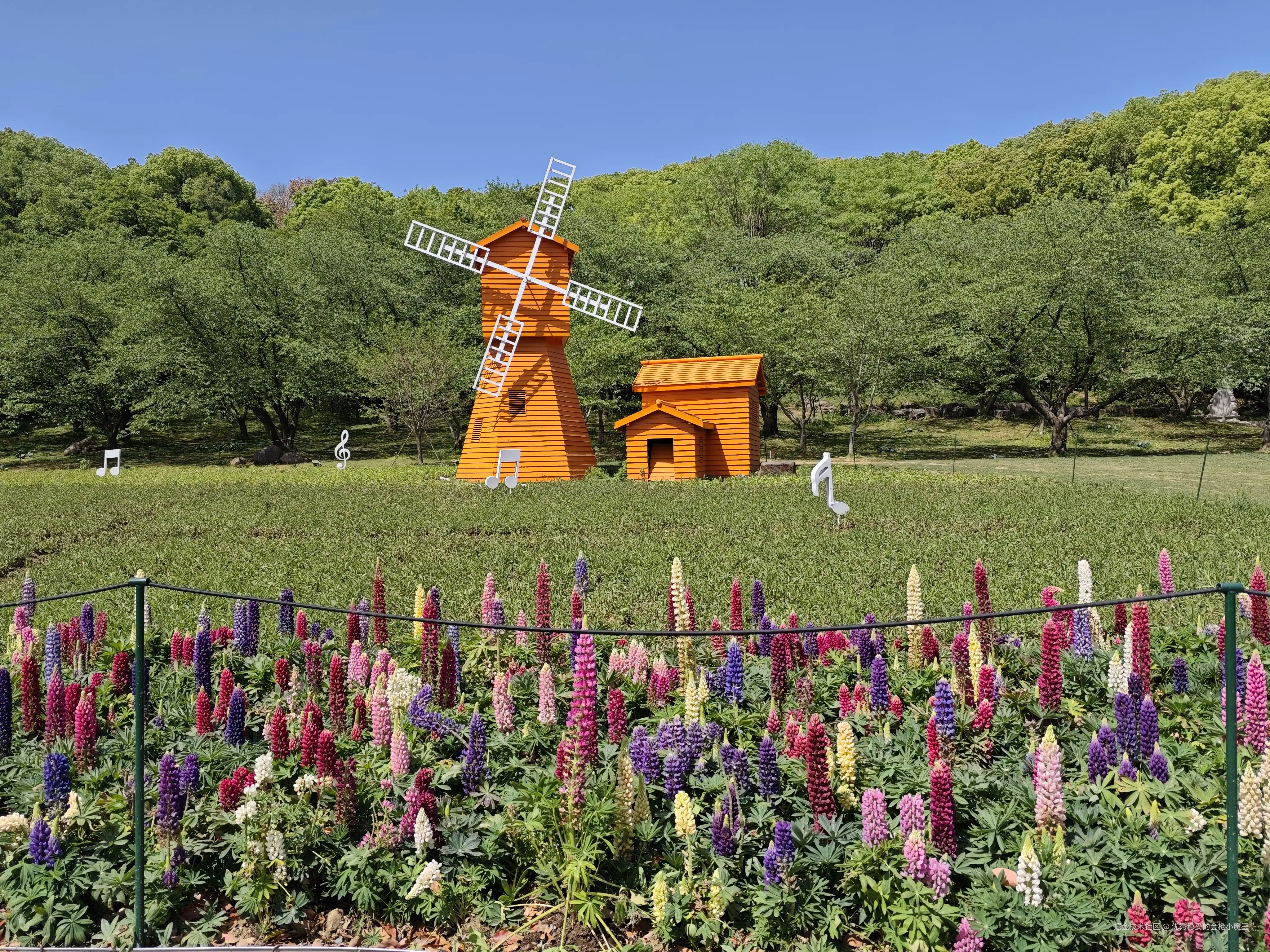 优秀稳妥的金枪小魔王于2025-04-15 13:28发布的图片