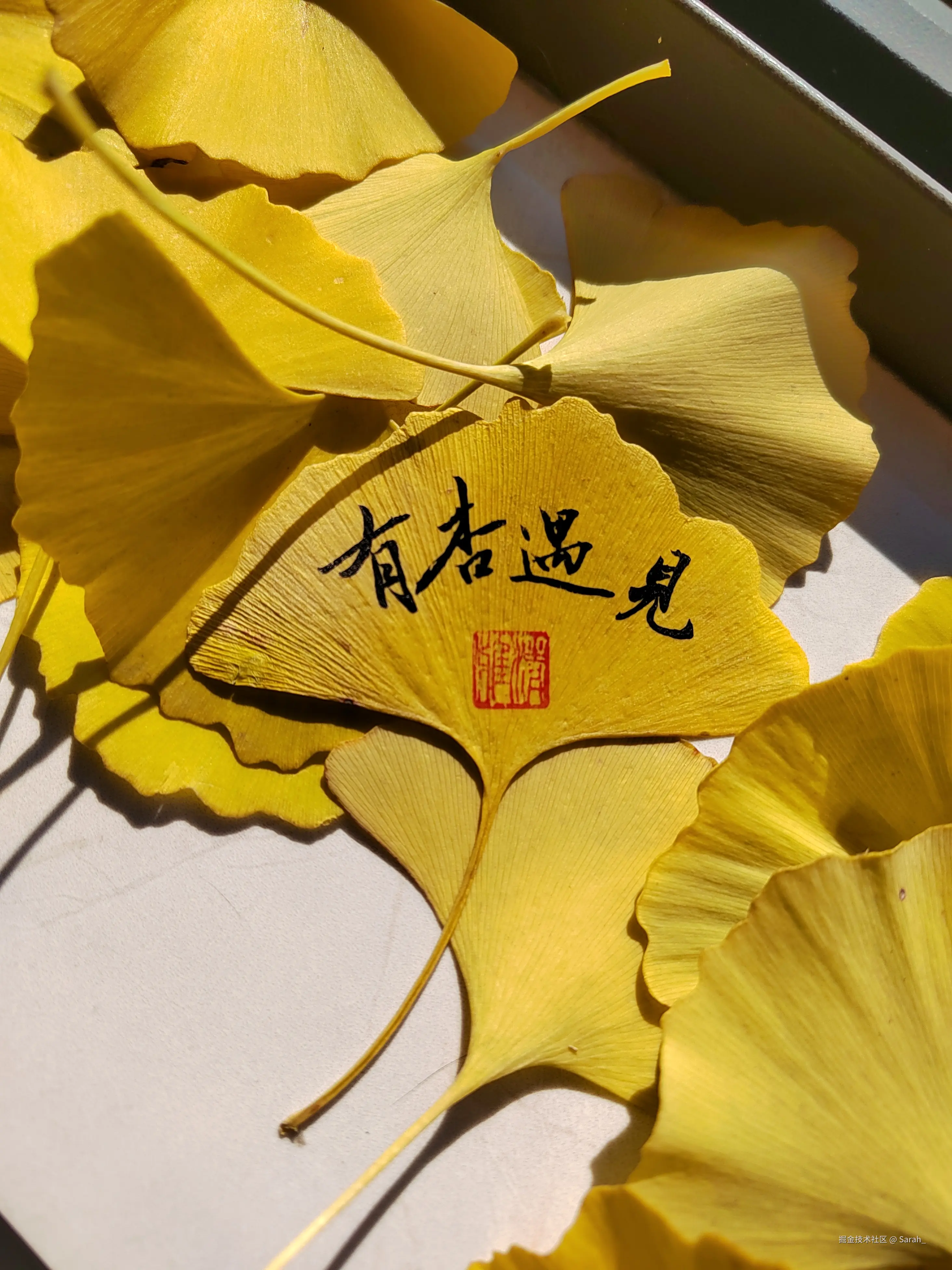 Sarah_于2024-12-03 09:01发布的图片