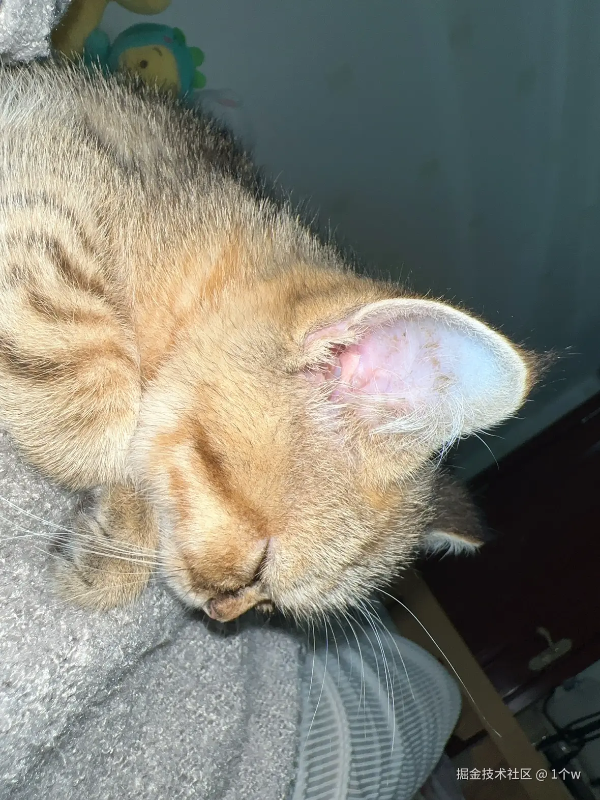 1个w于2024-09-20 15:30发布的图片