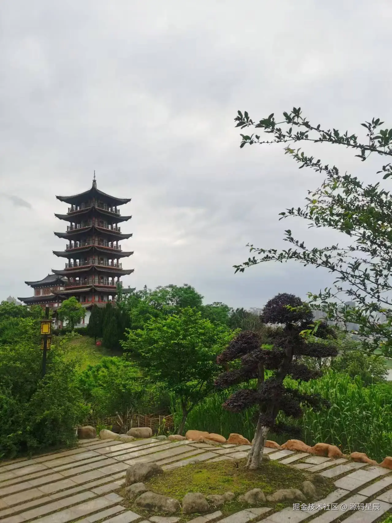 源码星辰于2025-05-19 09:28发布的图片