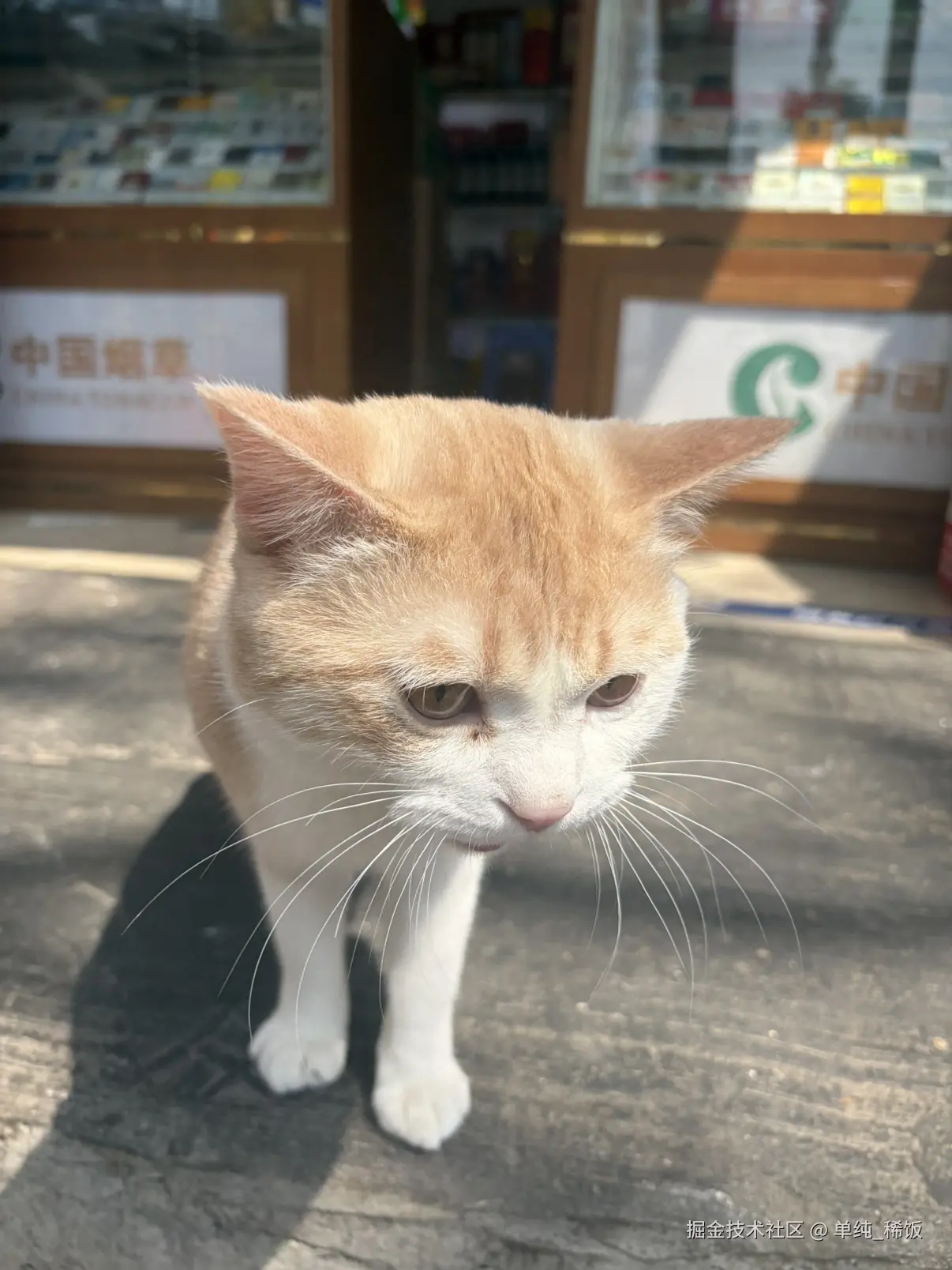 单纯_稀饭于2026-03-24 12:28发布的图片