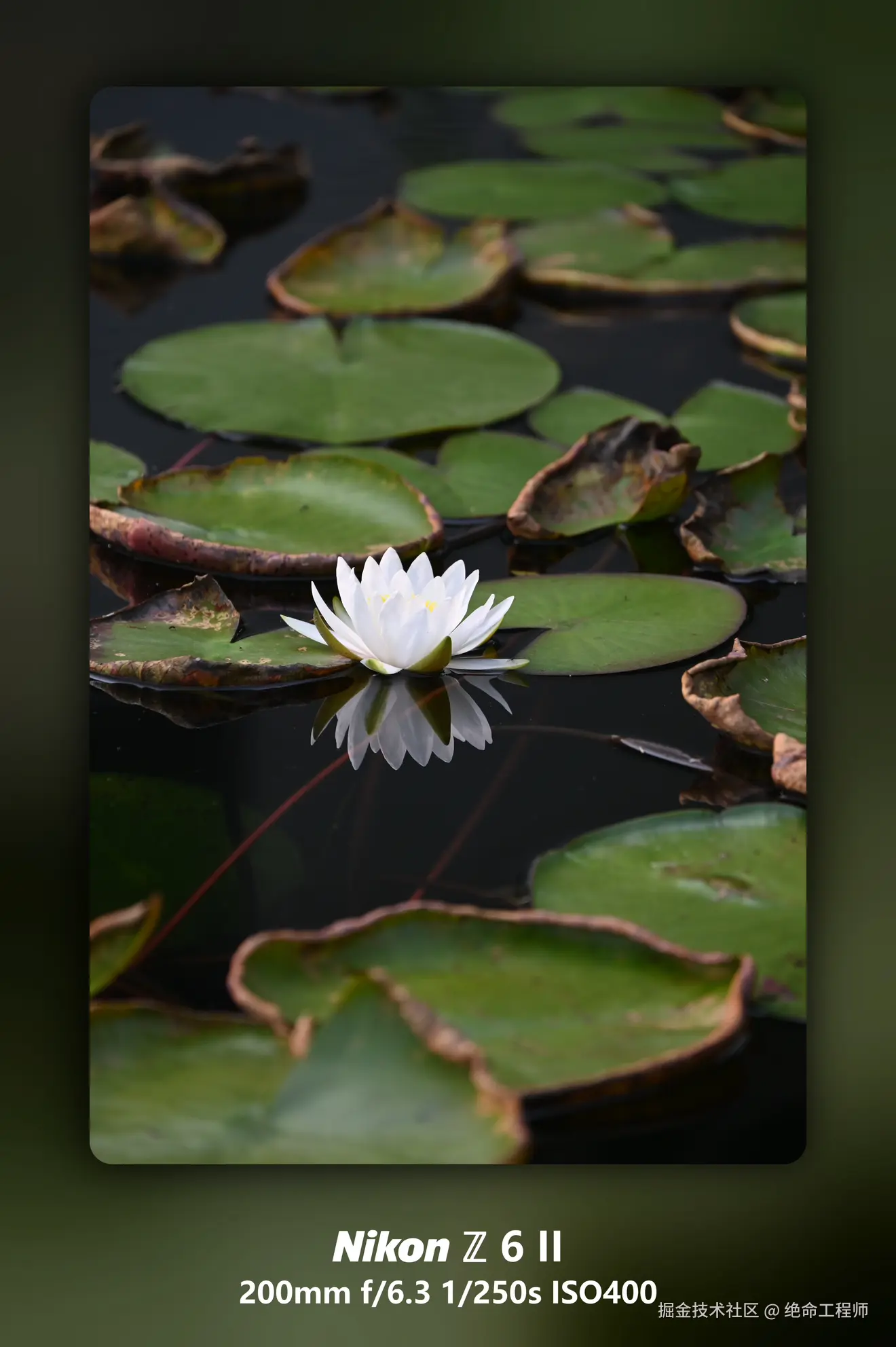 绝命工程师于2025-11-11 09:28发布的图片