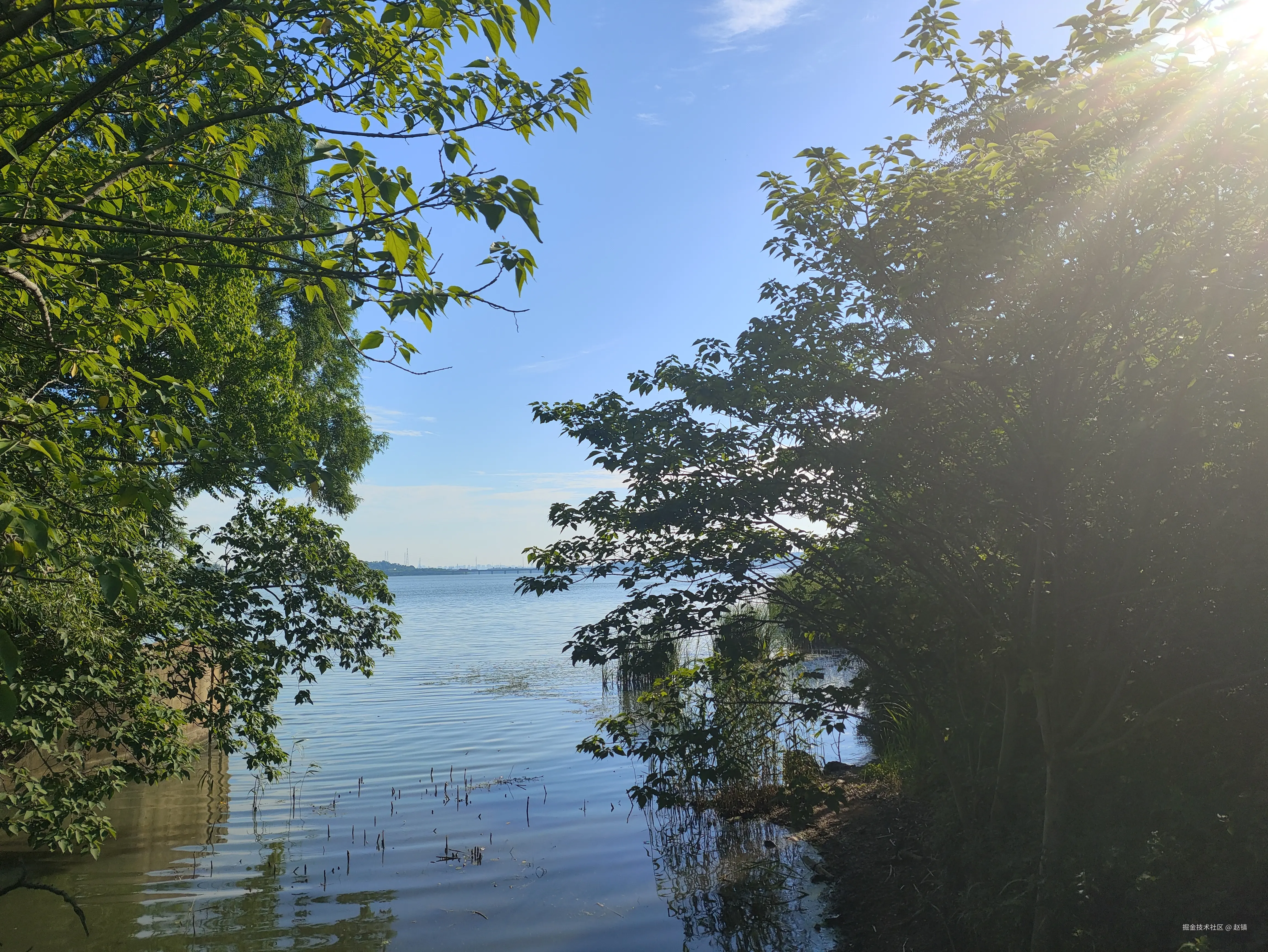 赵镇于2024-07-23 08:31发布的图片