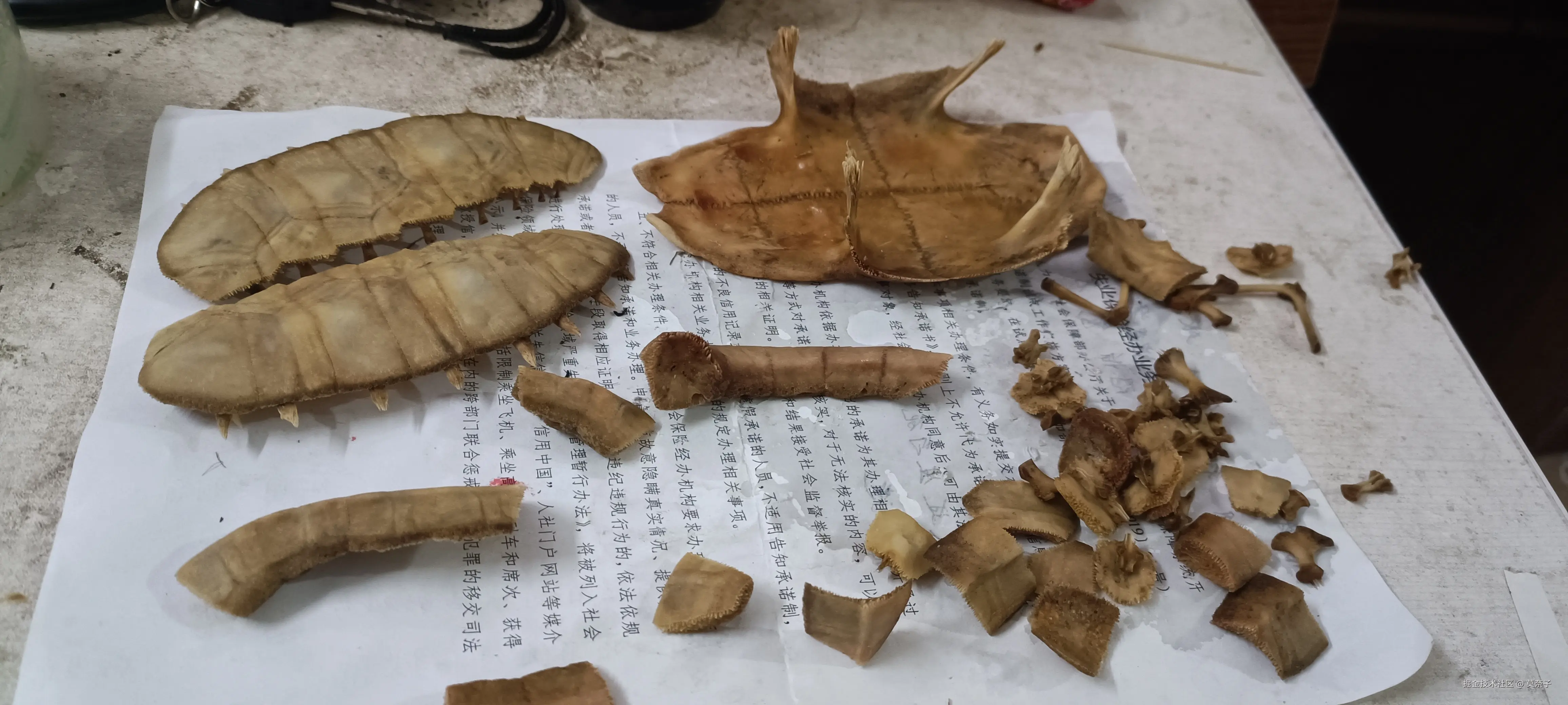 莫奈子于2025-07-15 22:52发布的图片