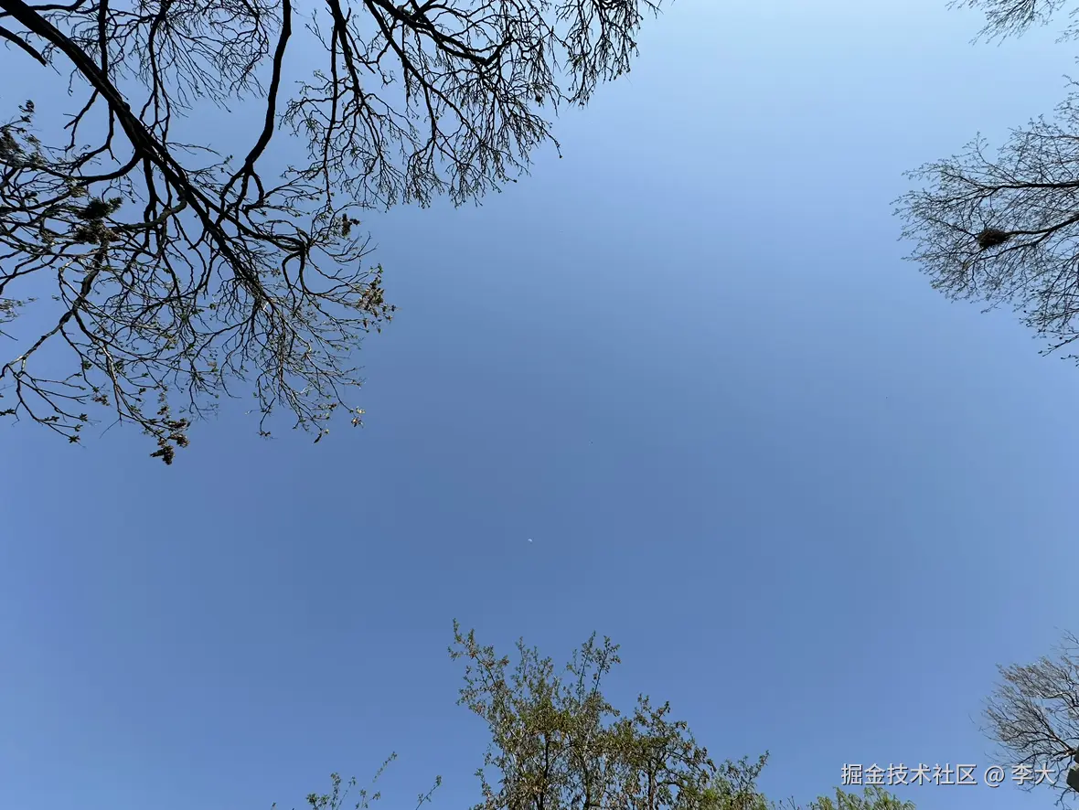 李大于2025-07-15 09:06发布的图片