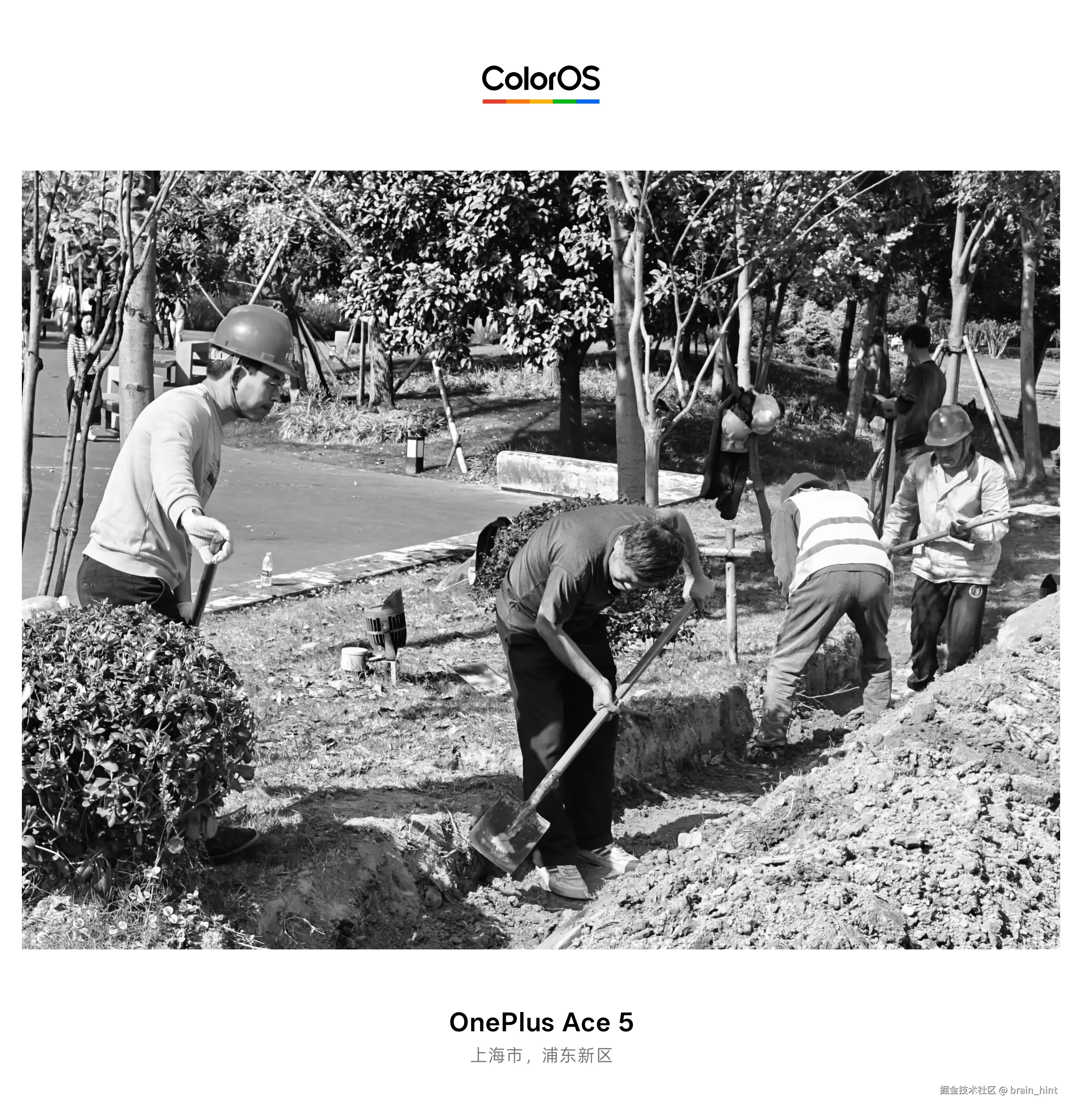 brain_hint于2025-11-14 13:28发布的图片