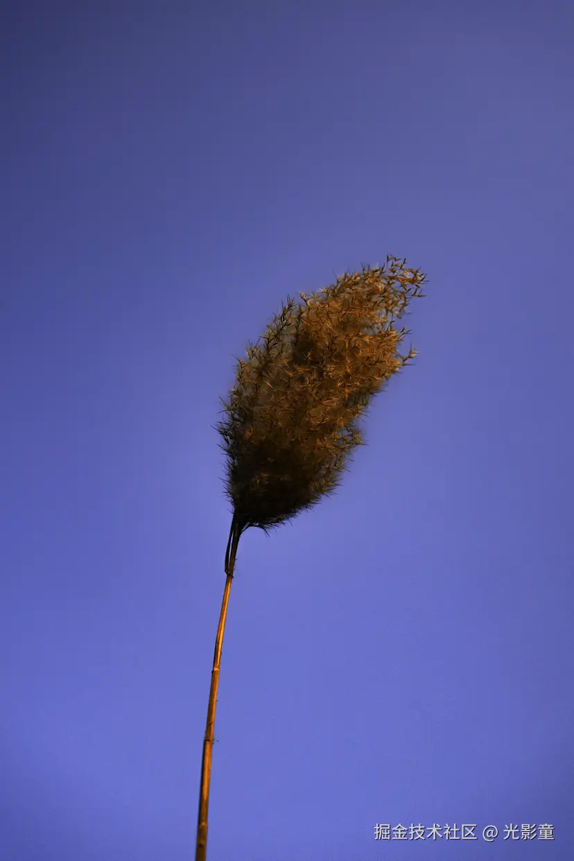 光影童于2026-01-05 10:52发布的图片