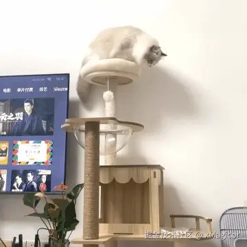 xMagicor于2024-08-11 23:39发布的图片