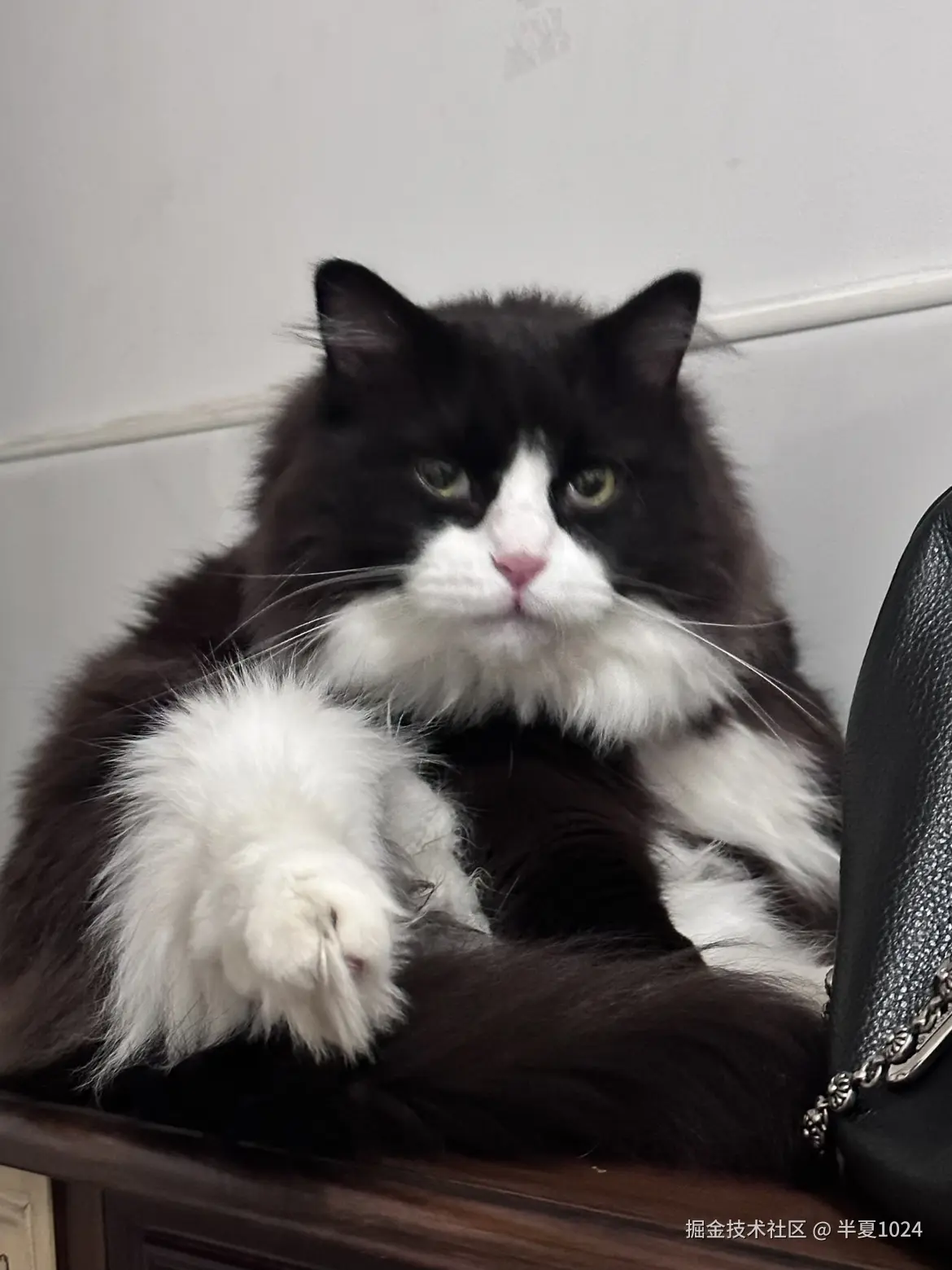 半夏1024于2024-11-25 09:28发布的图片