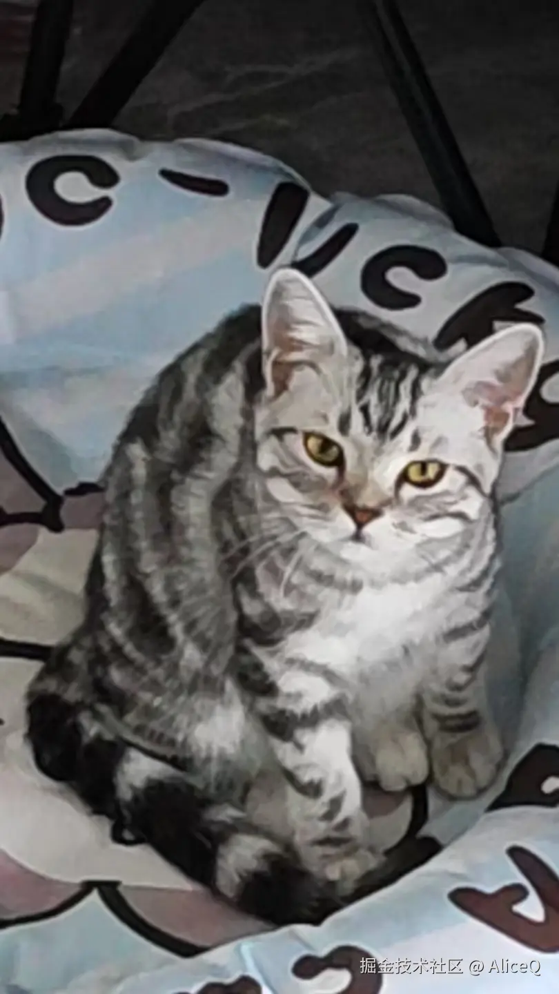 AliceQ于2025-08-16 14:29发布的图片