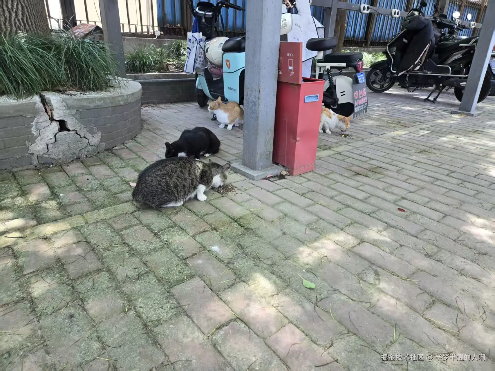 半梦半醒的人啊于2025-10-27 11:28发布的图片