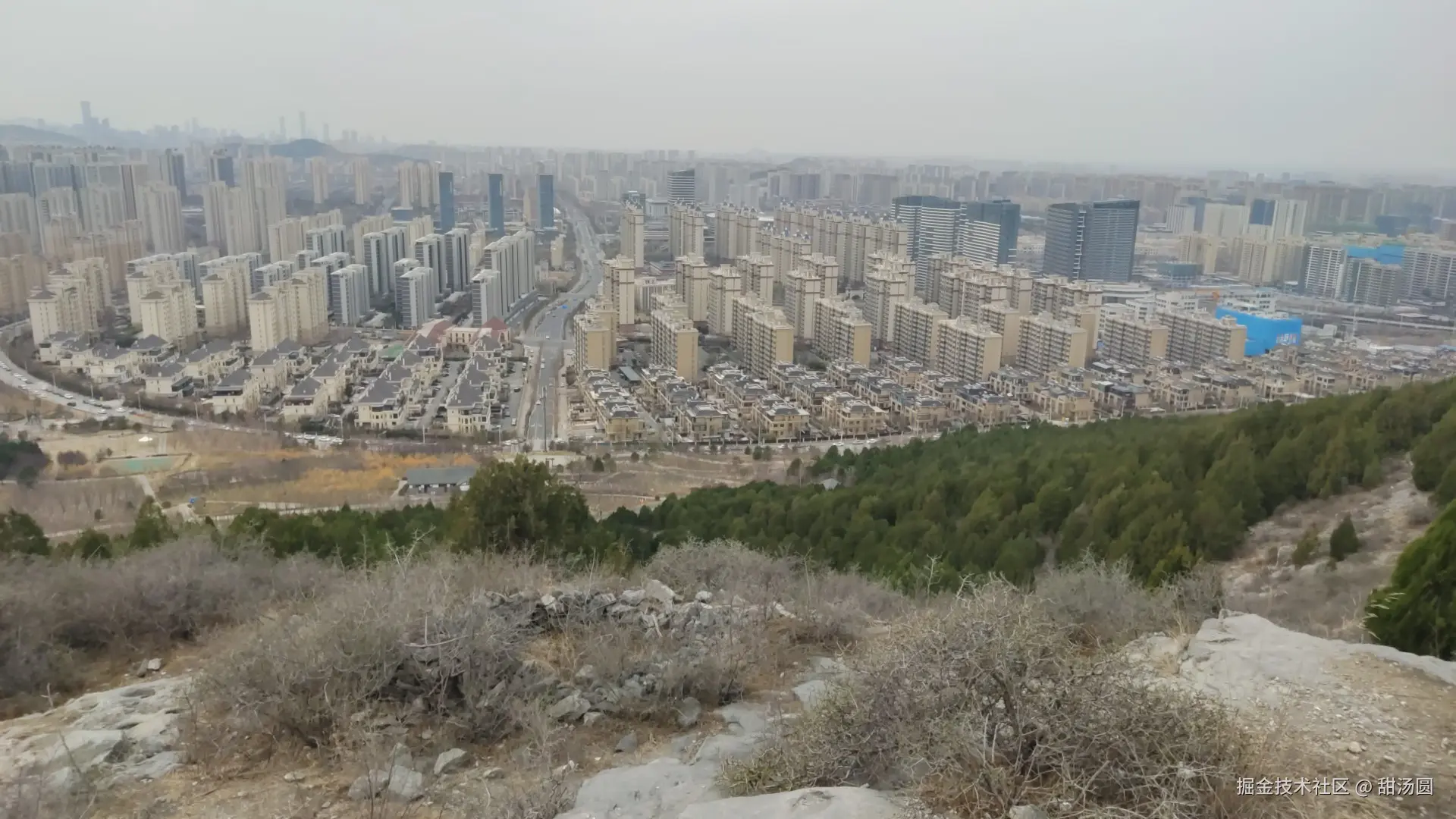 甜汤圆于2026-03-16 15:30发布的图片