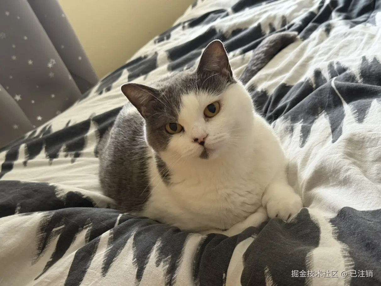 已注销于2025-09-28 09:26发布的图片