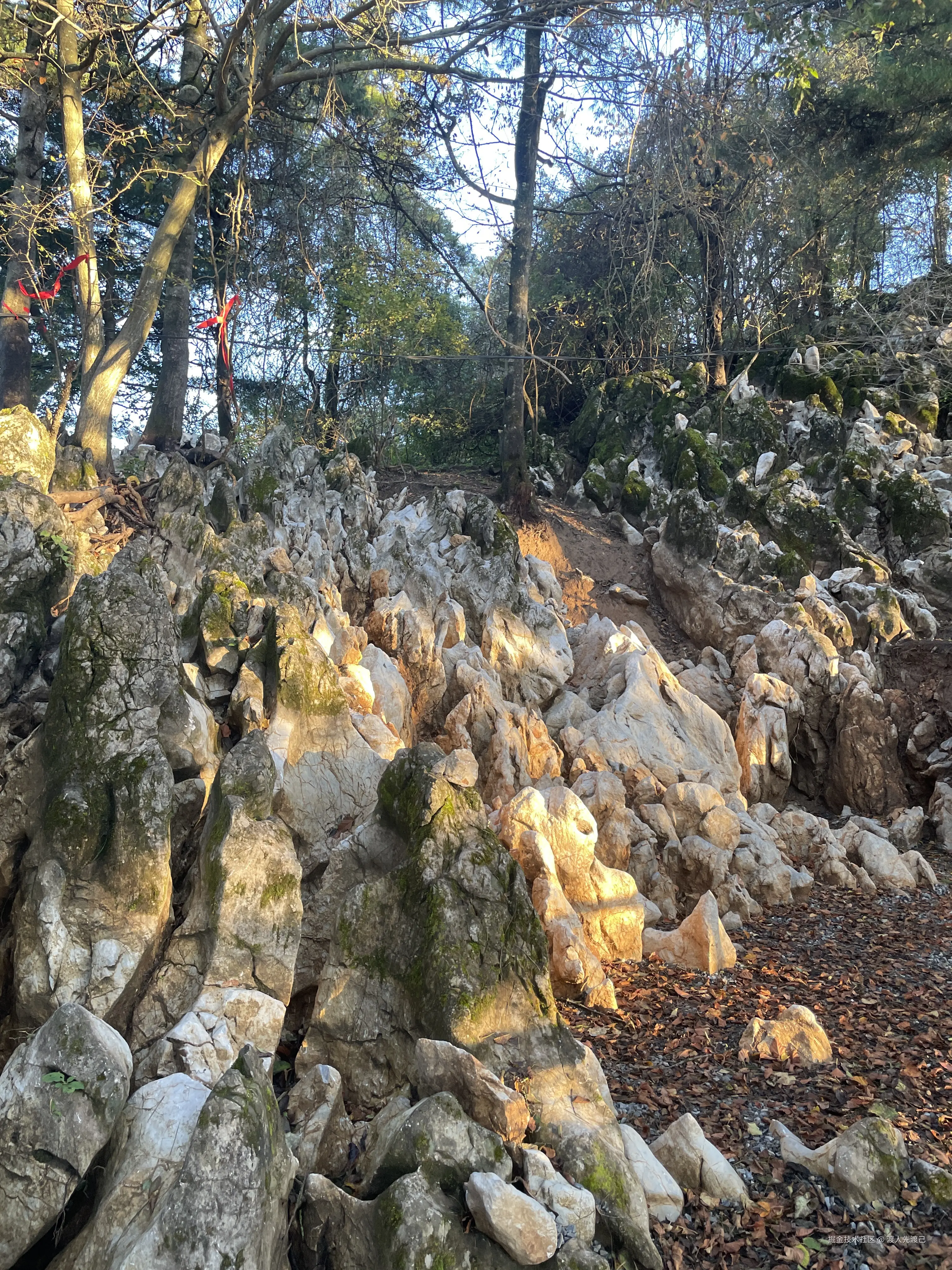 渡人先渡己于2025-10-31 10:05发布的图片