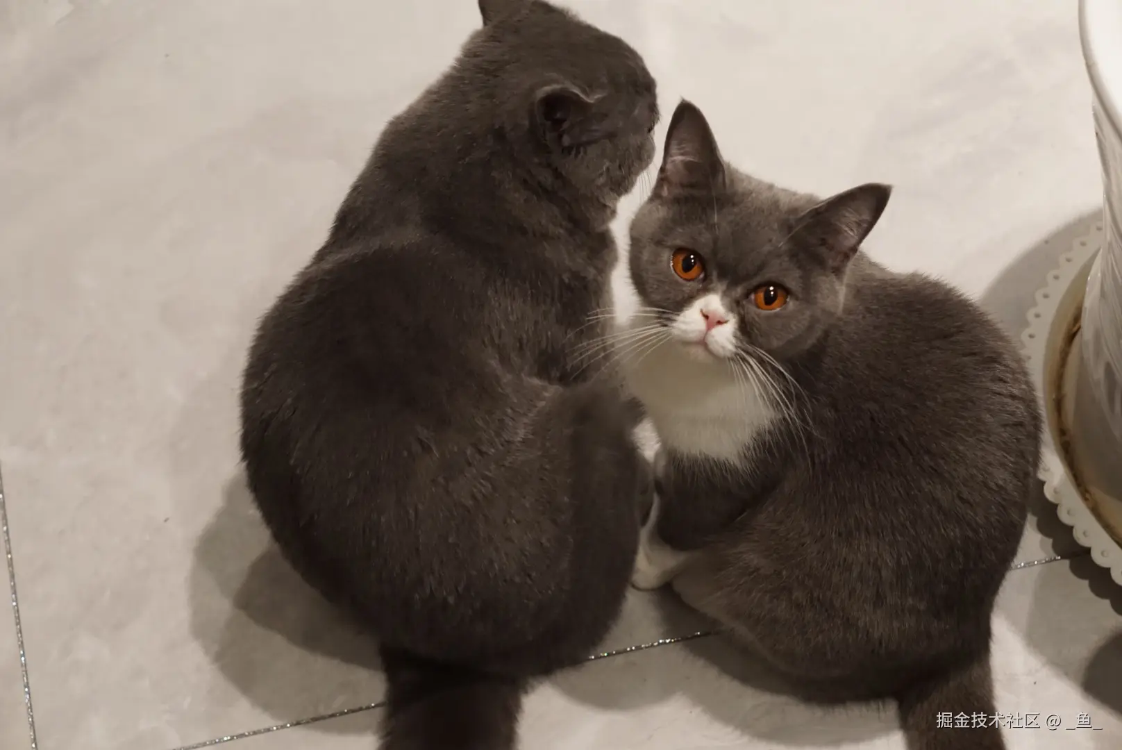 _鱼_于2025-04-14 09:18发布的图片