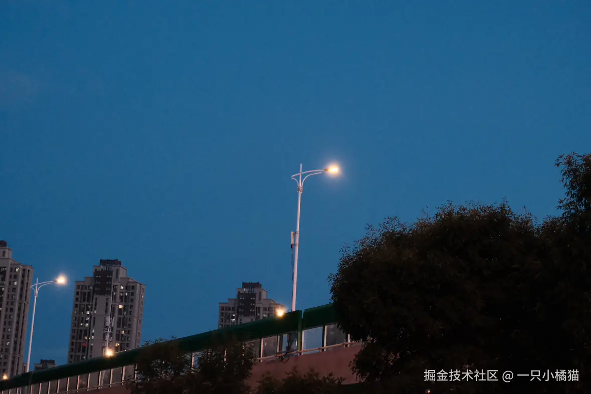 一只小橘猫于2024-07-30 10:43发布的图片