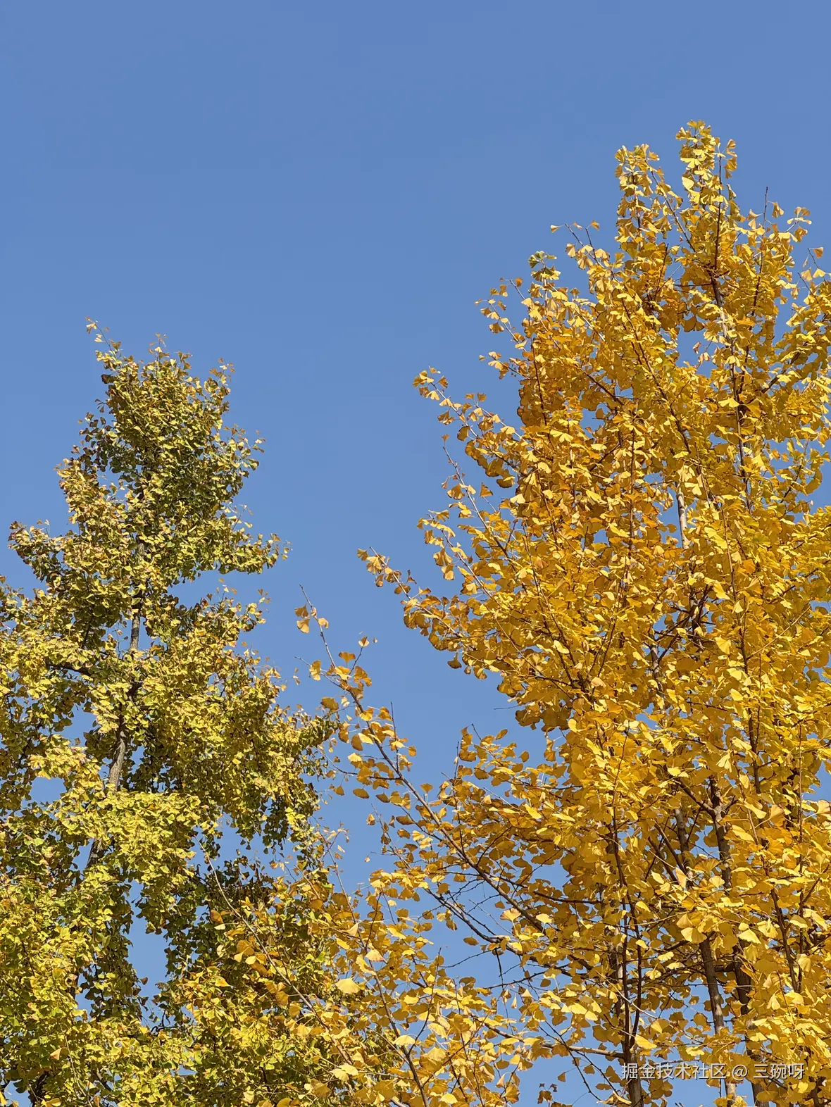 三碗呀于2025-11-27 14:16发布的图片