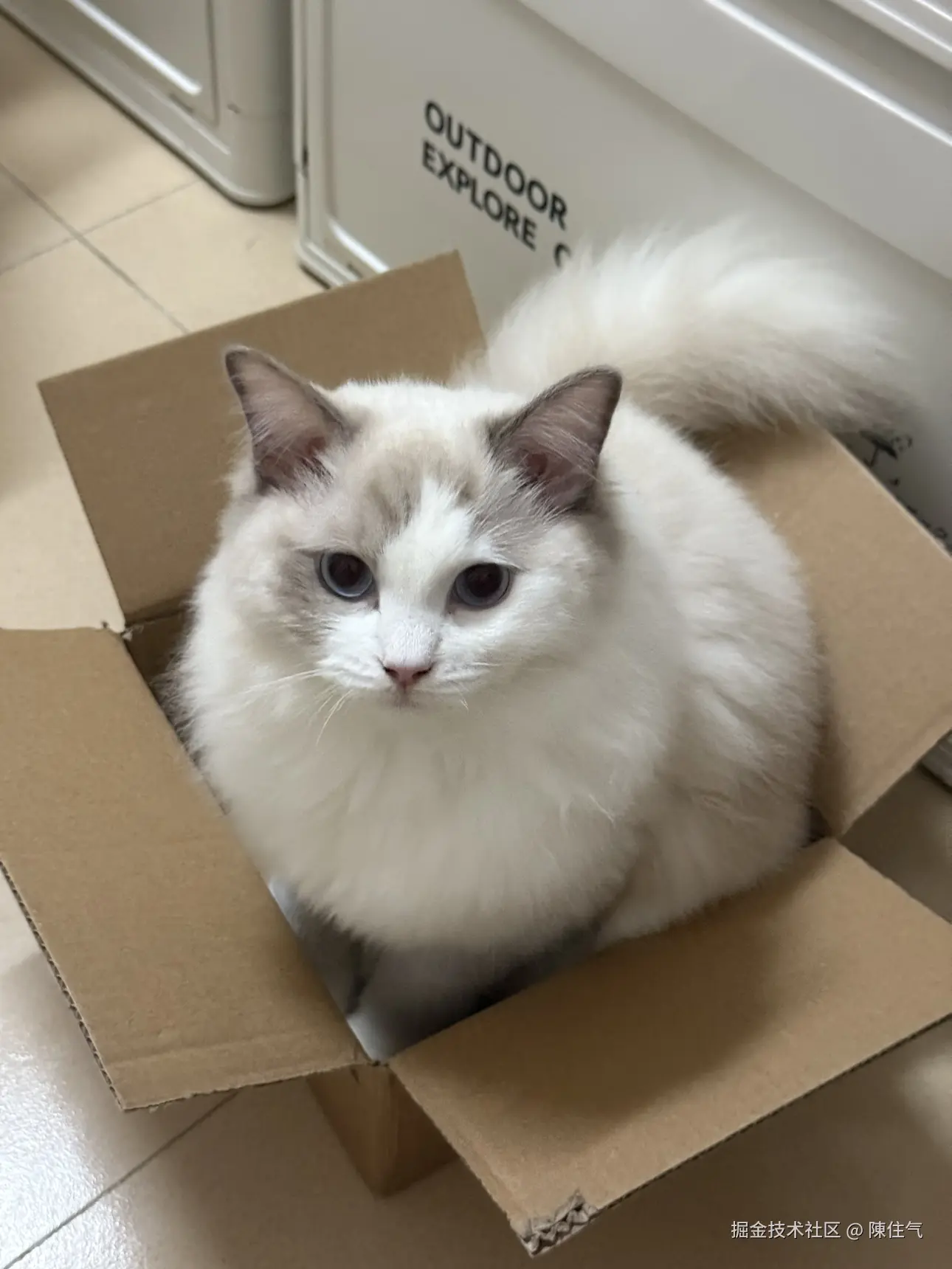 陳住气于2024-11-19 16:58发布的图片