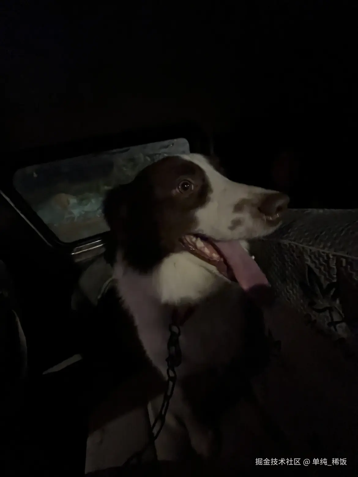 单纯_稀饭于2025-08-09 06:30发布的图片