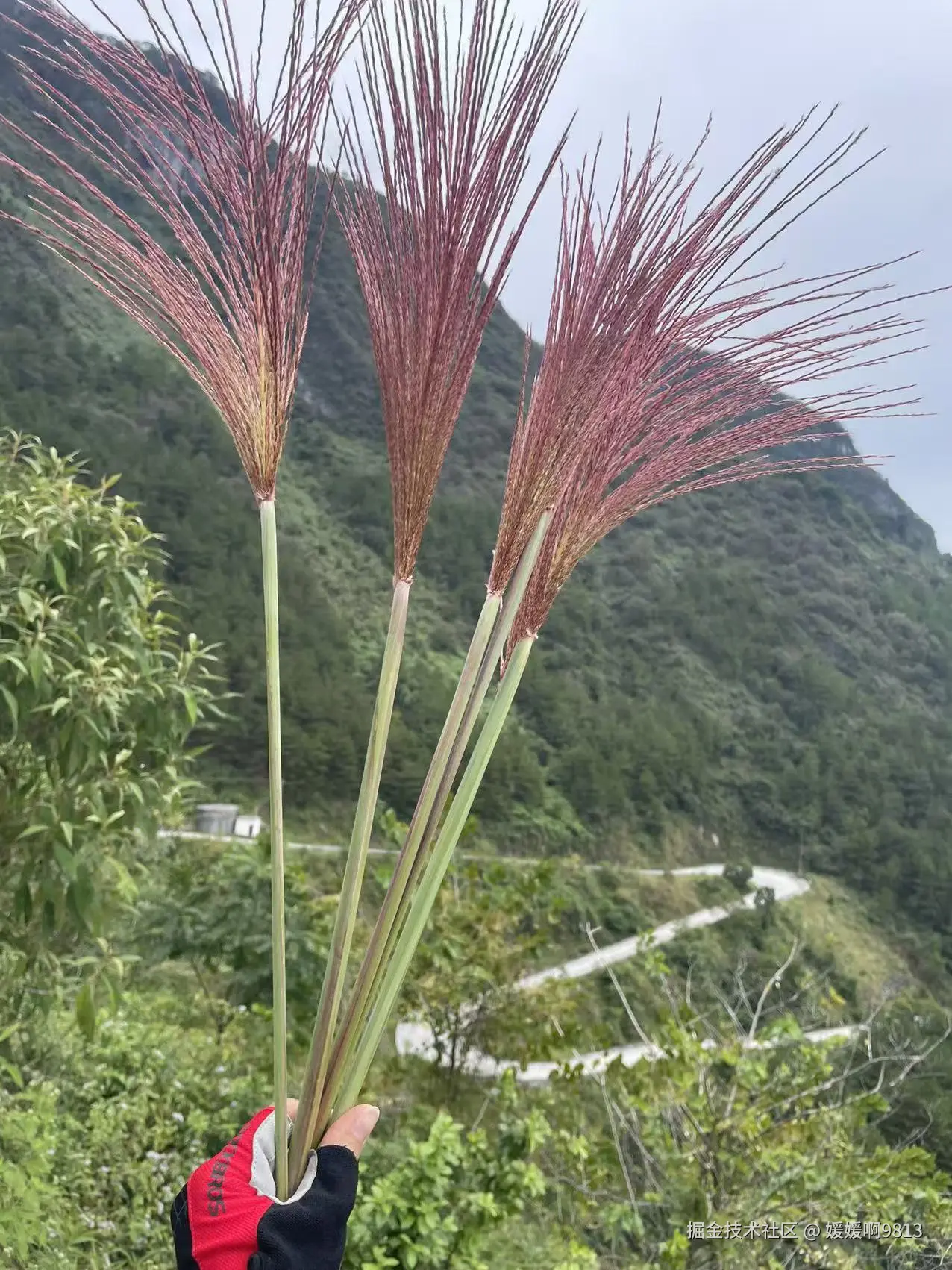 媛媛啊9813于2025-11-02 11:27发布的图片