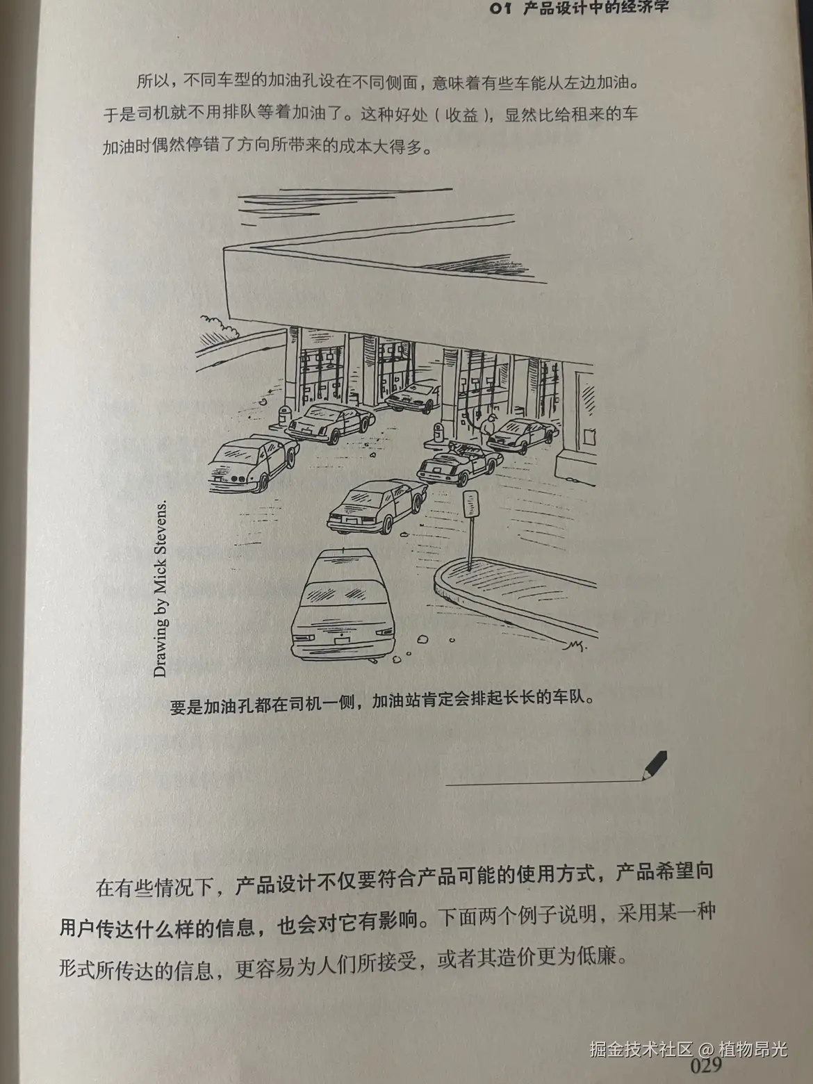 植物昂光于2026-10-07 12:14发布的图片