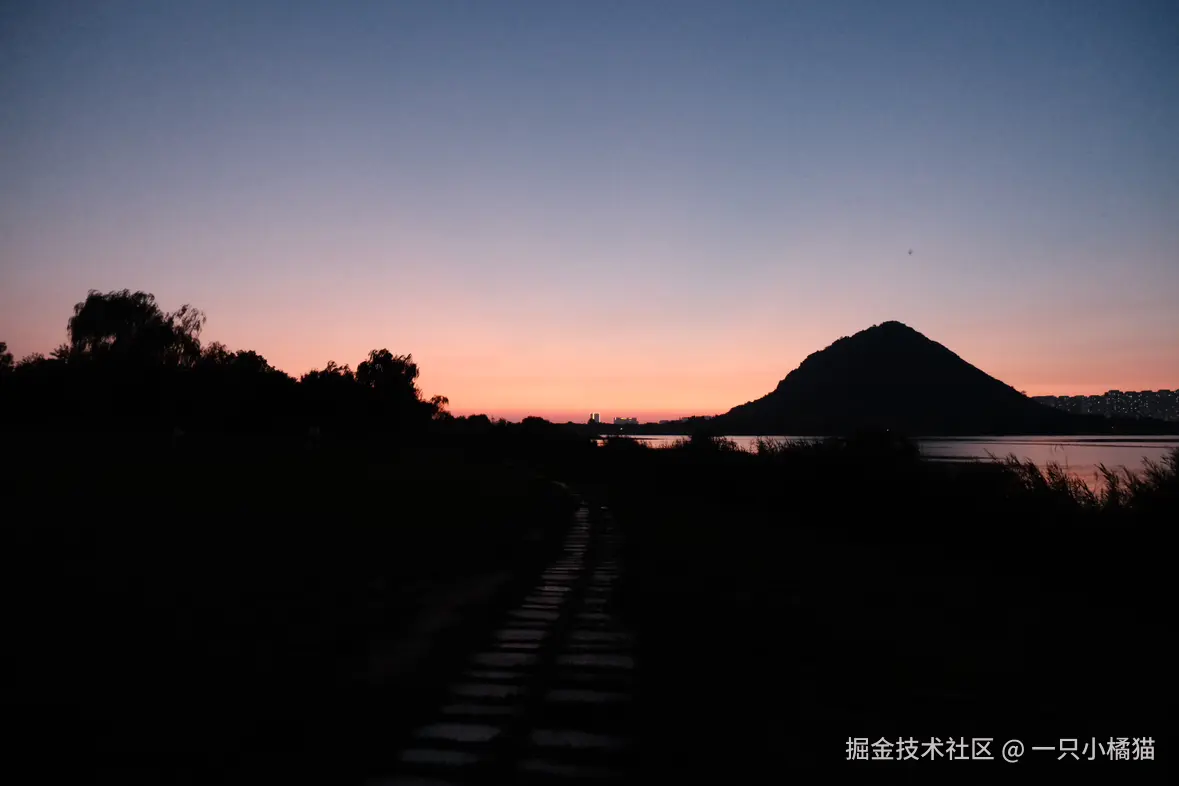 一只小橘猫于2024-07-30 10:43发布的图片