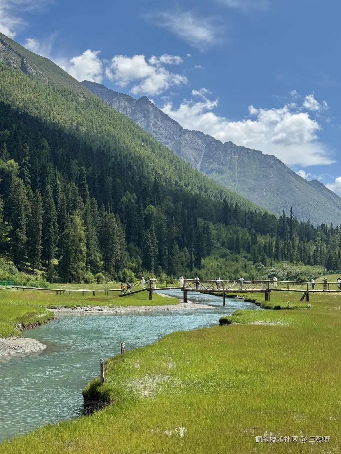 三碗呀于2025-08-04 10:26发布的图片