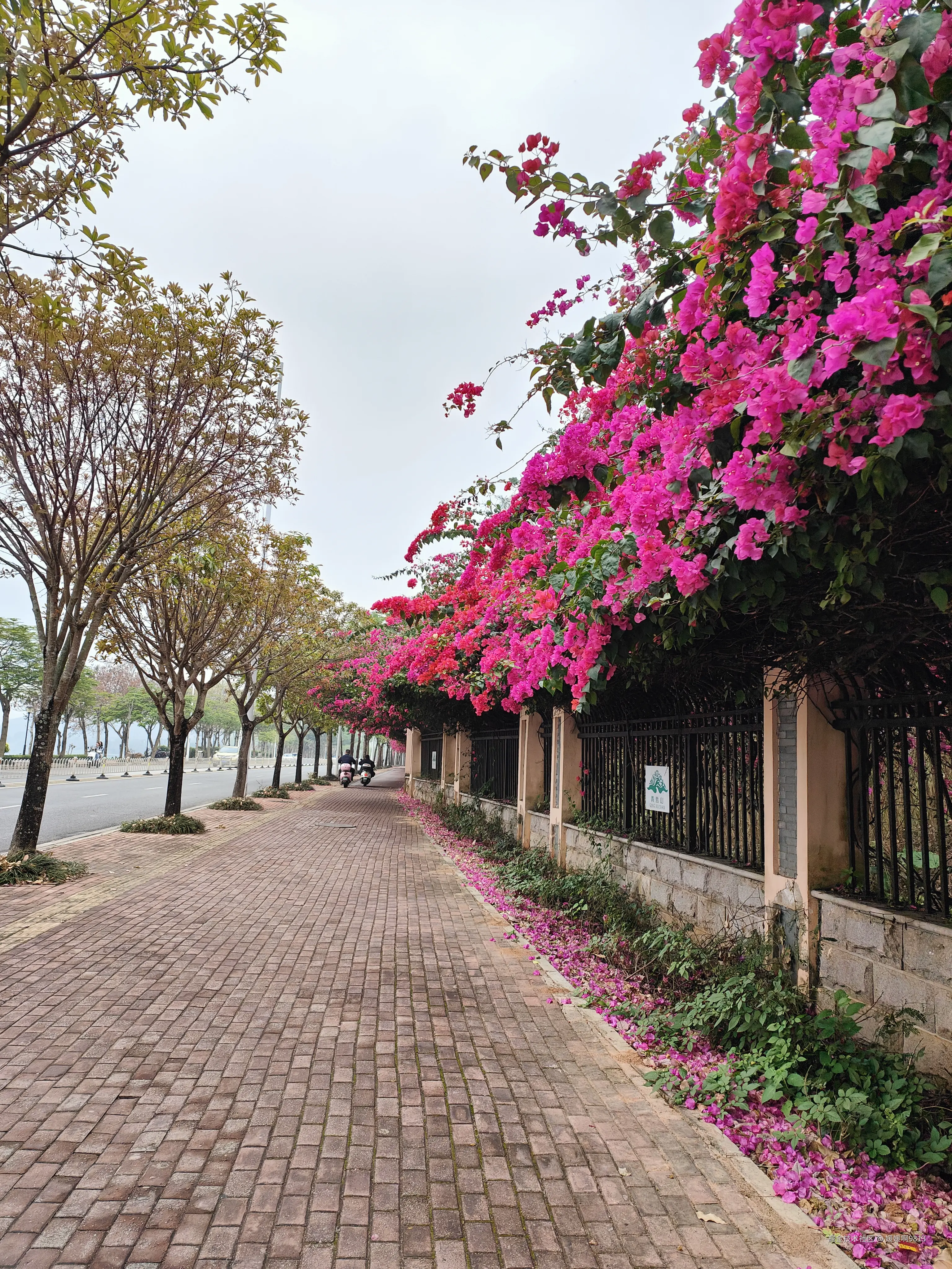 媛媛啊9813于2026-03-28 23:19发布的图片