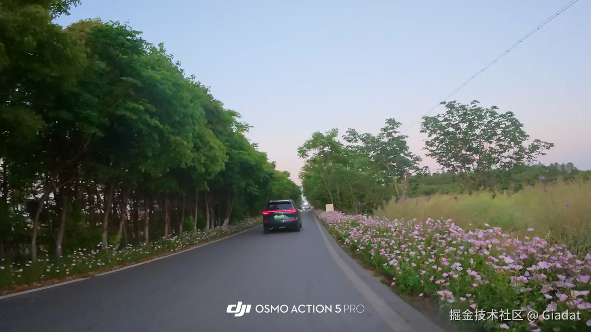 Giadat于2025-05-06 02:47发布的图片