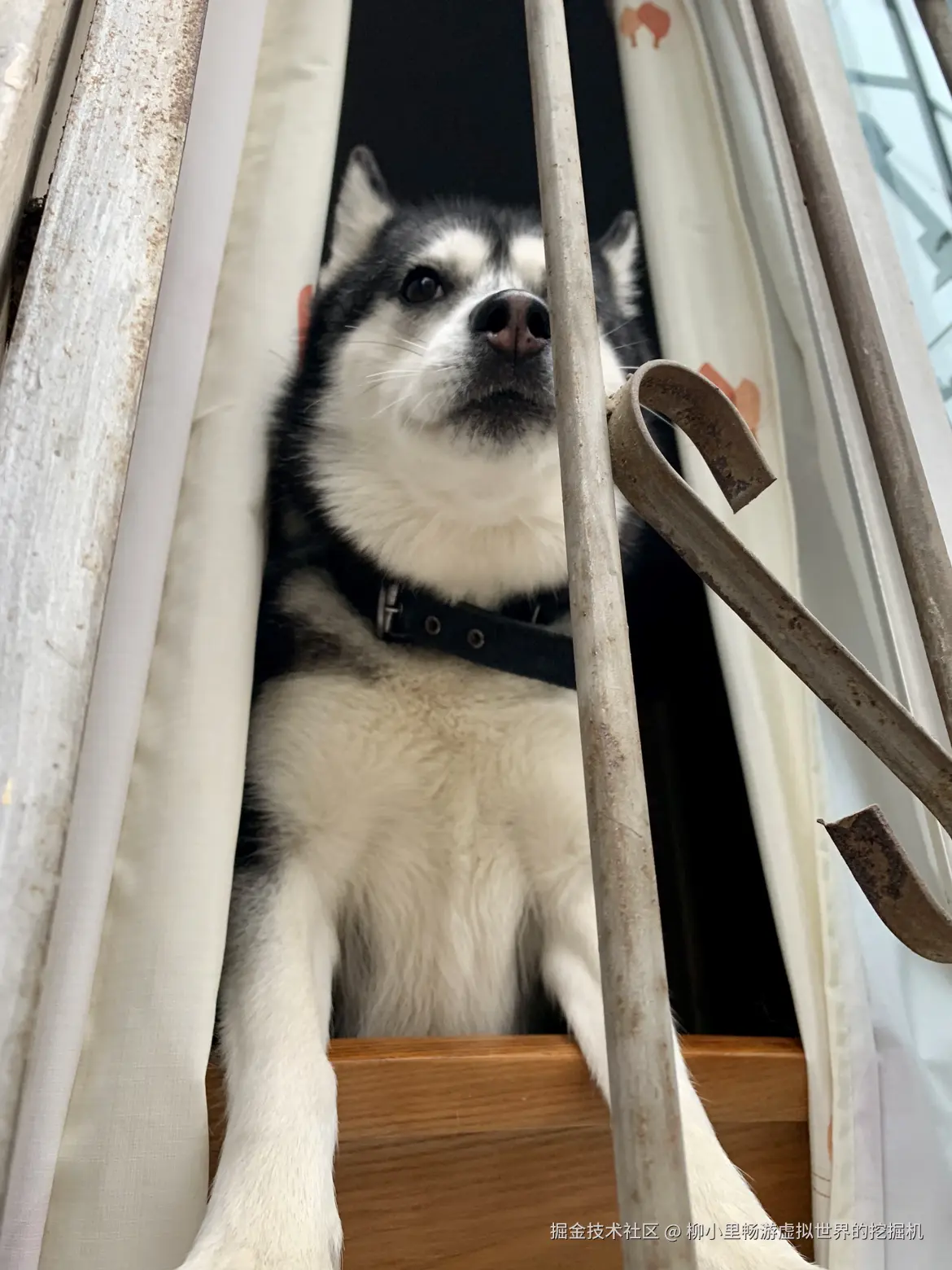 柳小里畅游虚拟世界的挖掘机于2025-11-27 10:58发布的图片