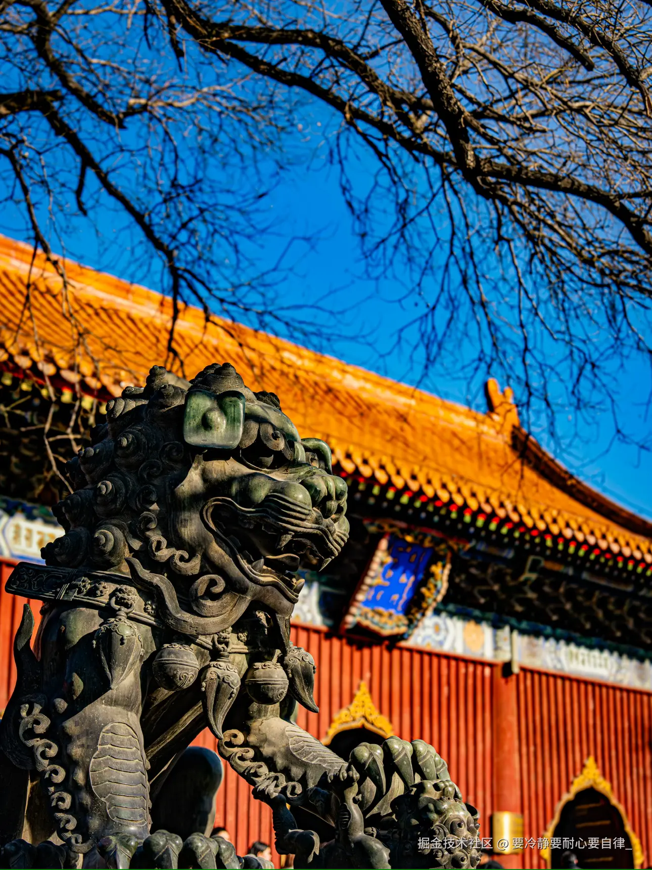 要冷静要耐心要自律_于2025-03-12 16:46发布的图片